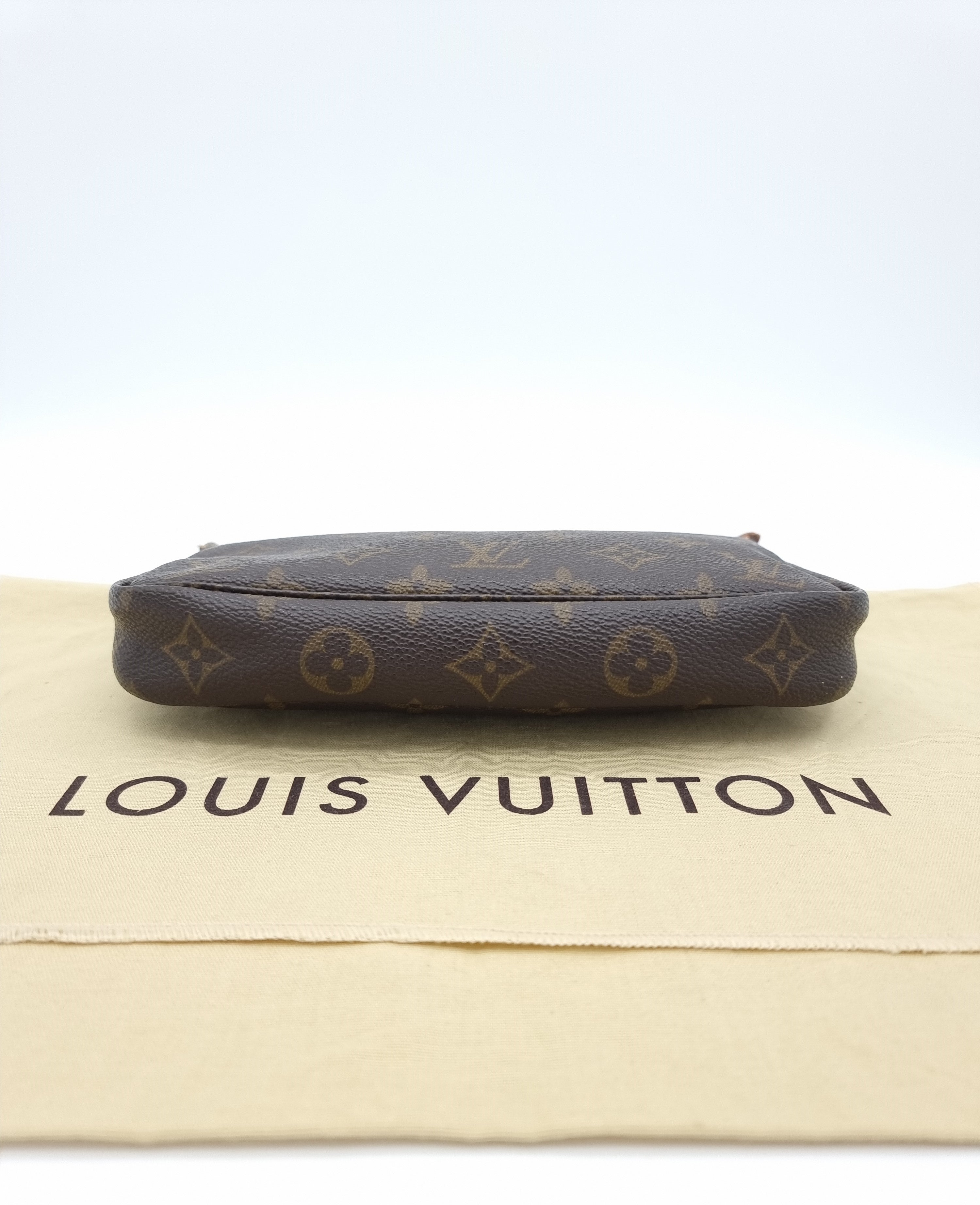 Louis Vuitton Pochette Accessoires