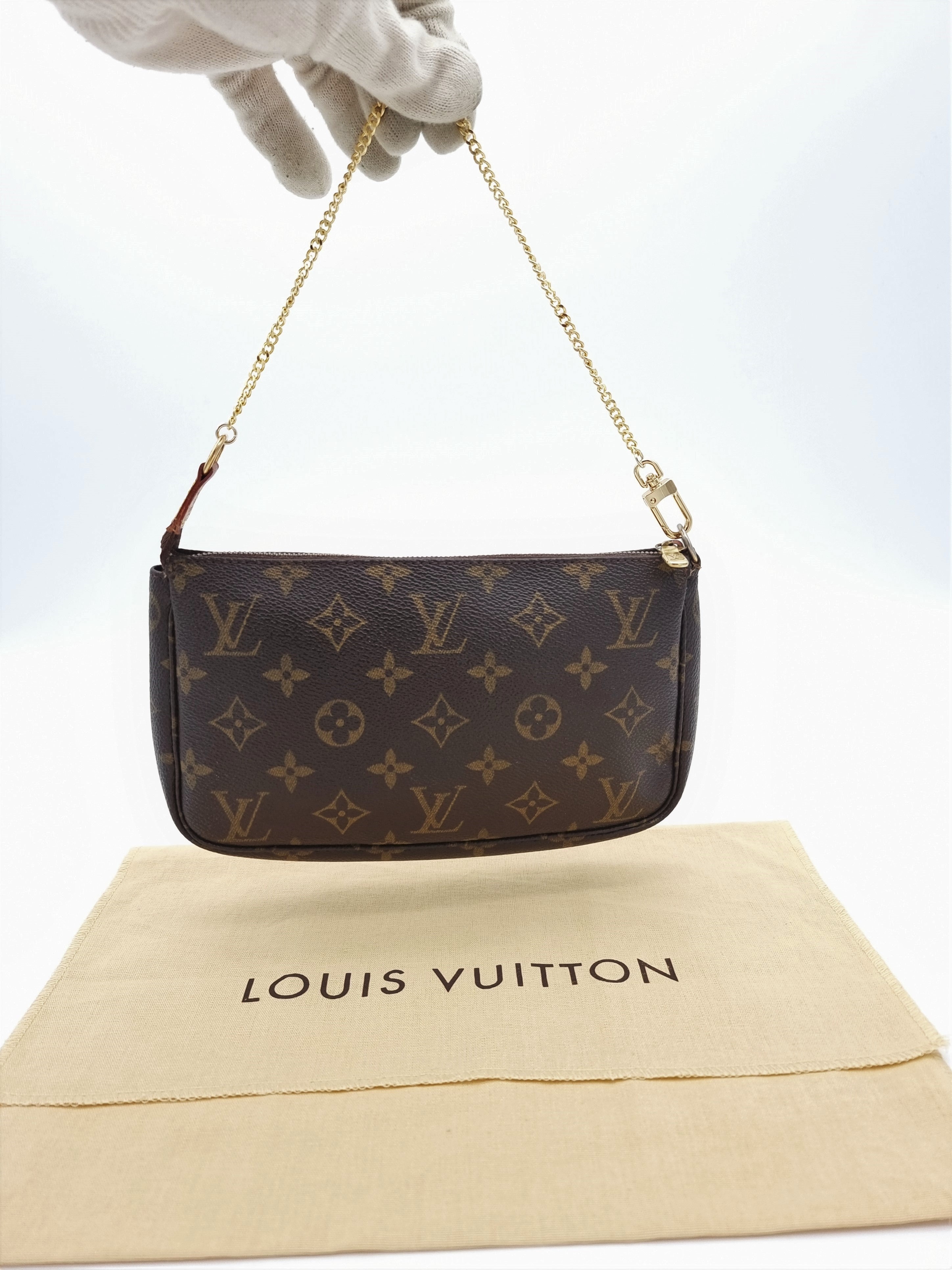 Louis Vuitton Pochette Accessoires