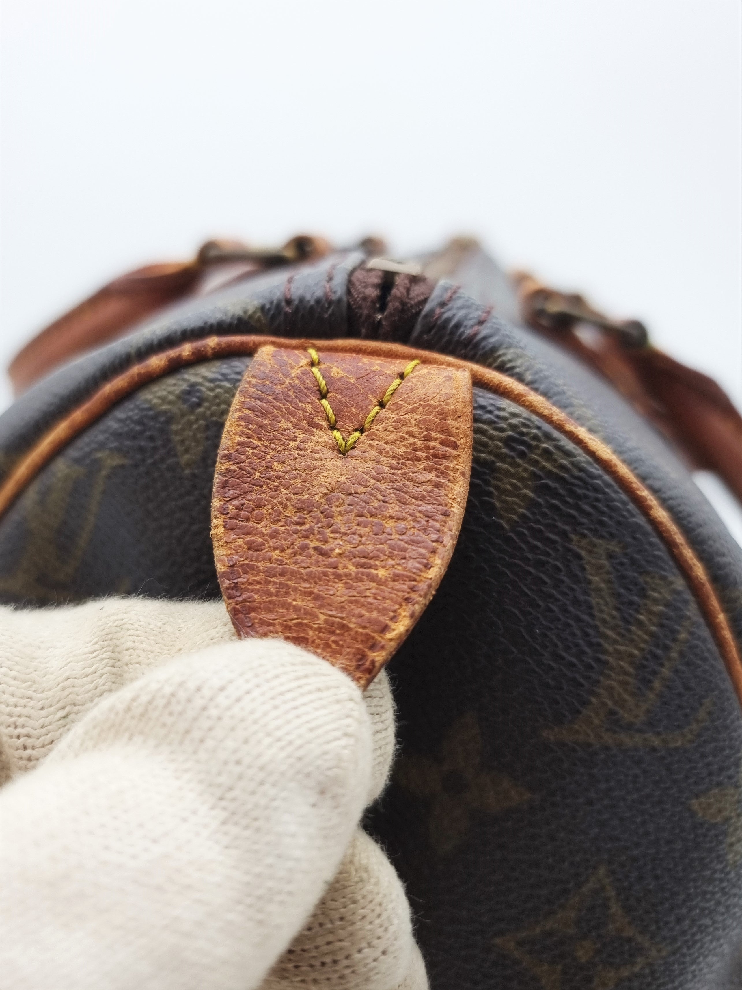 Louis Vuitton Speedy 30