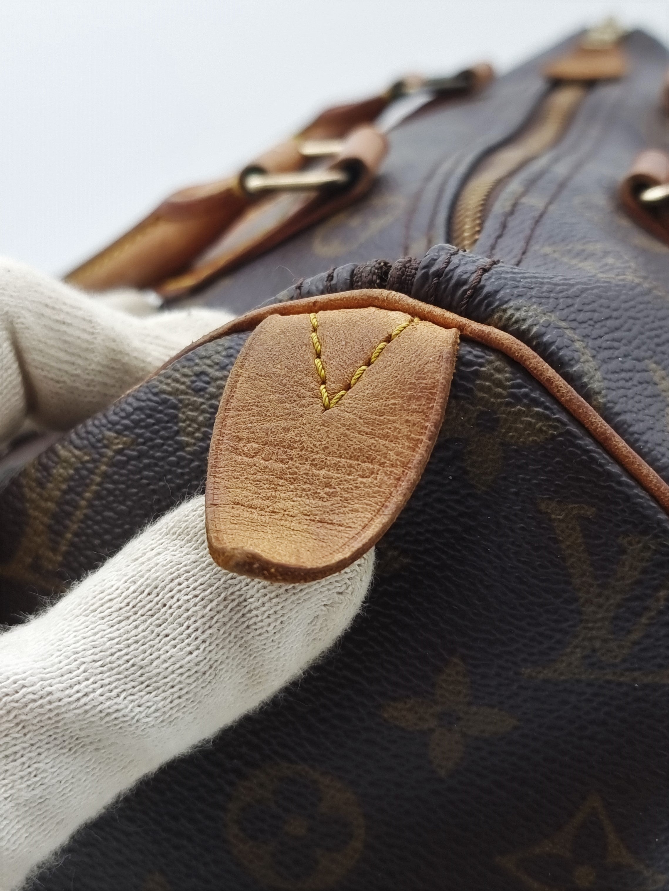Louis Vuitton Speedy 30