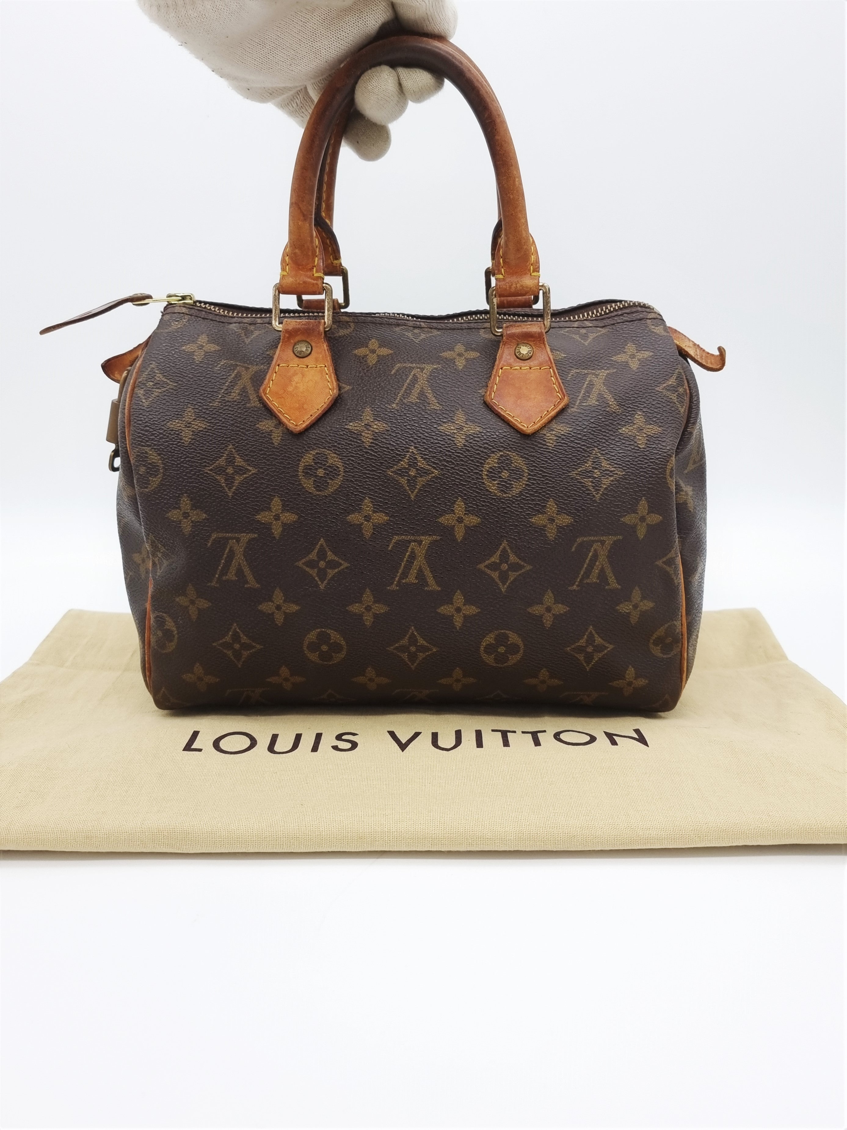 Louis Vuitton Speedy 25