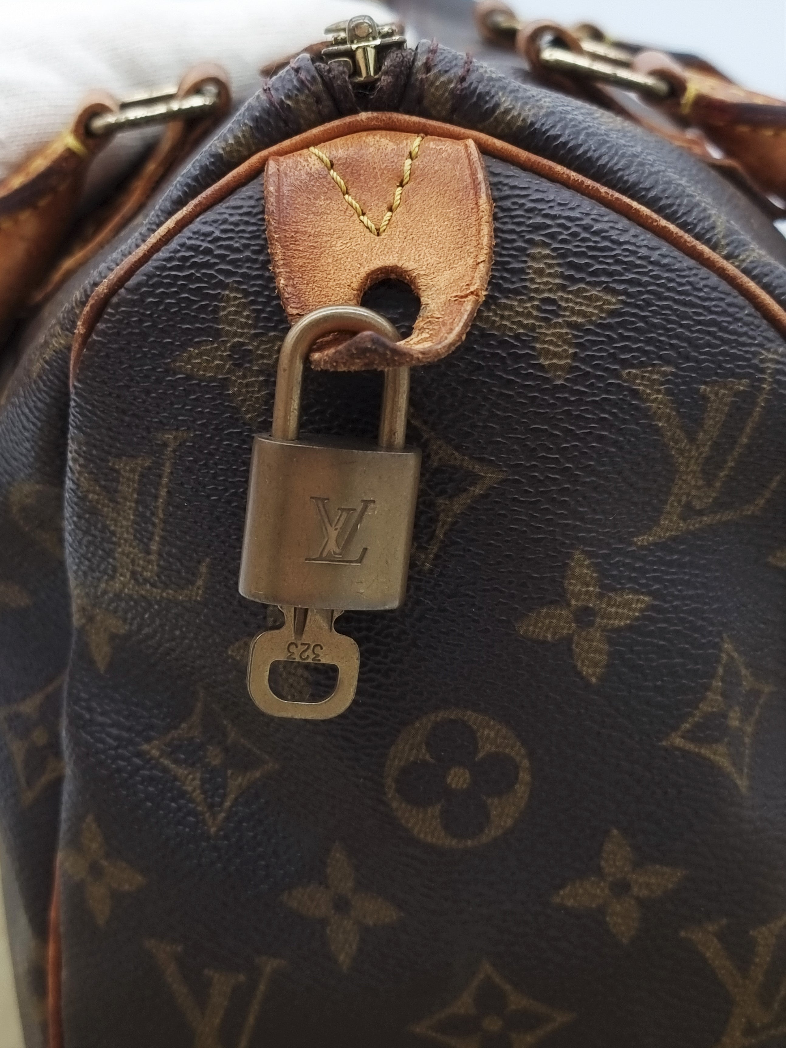 Louis Vuitton Speedy 25