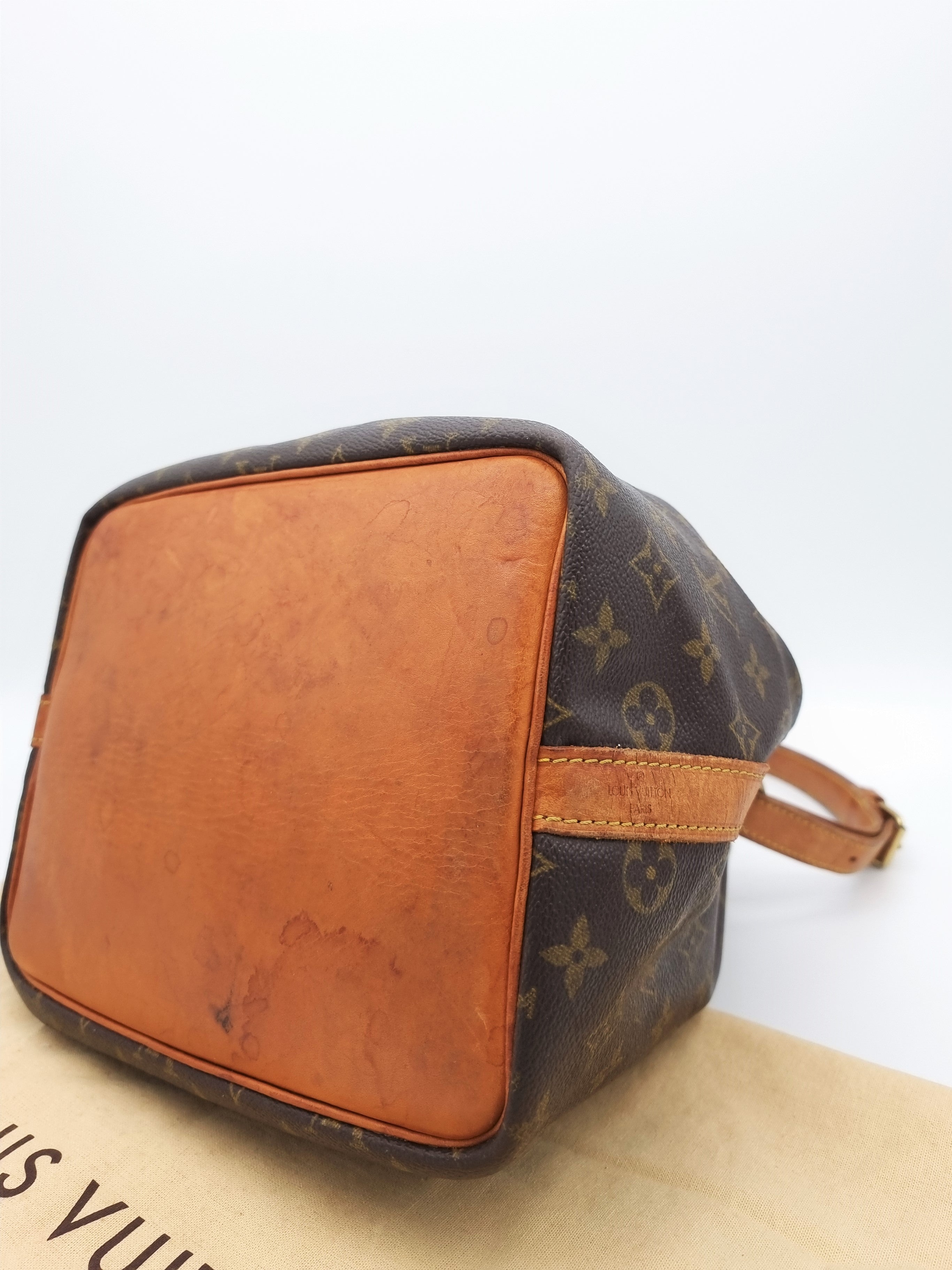 Louis Vuitton Petit Noe