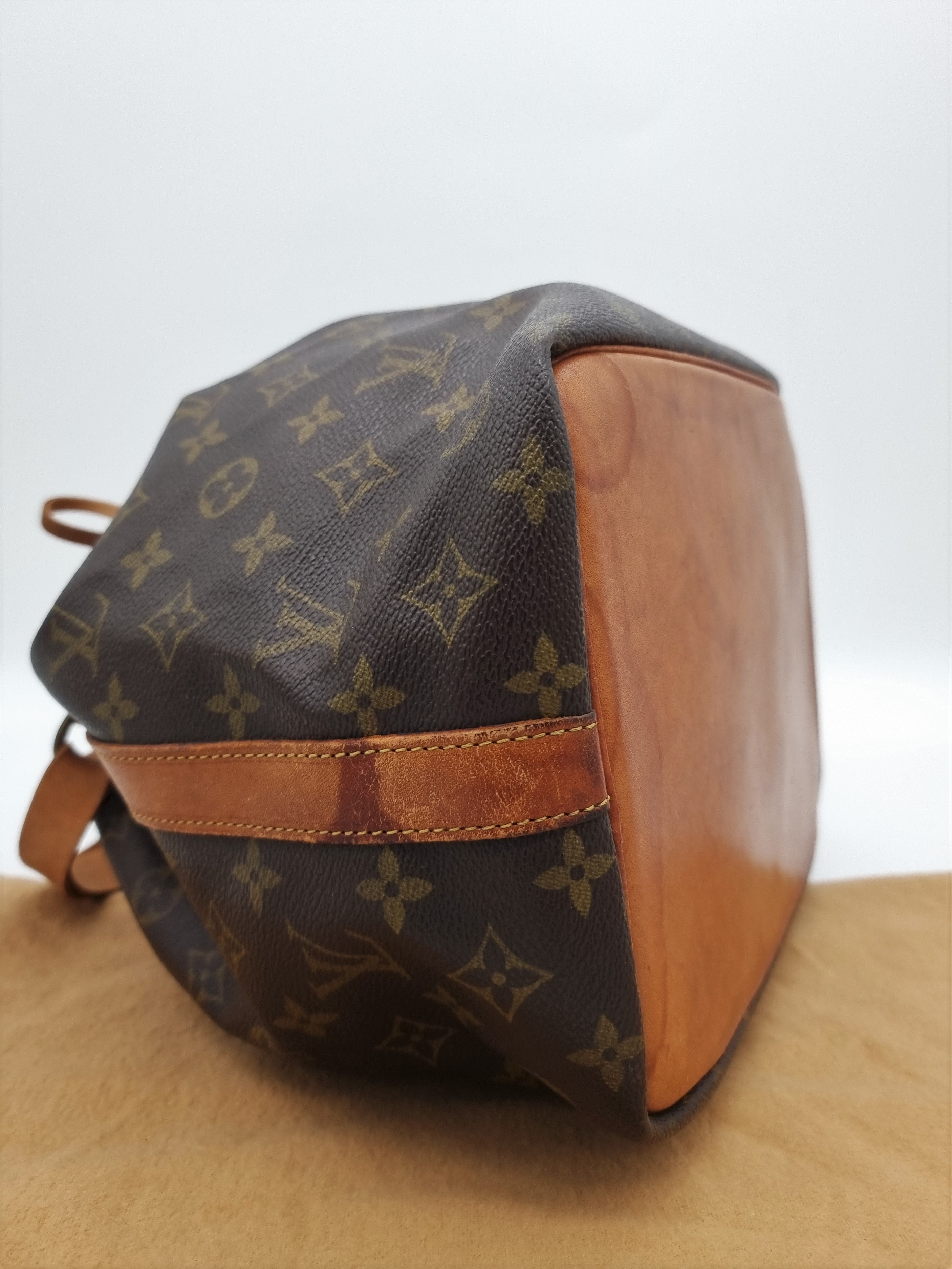 Louis Vuitton Petit Noe