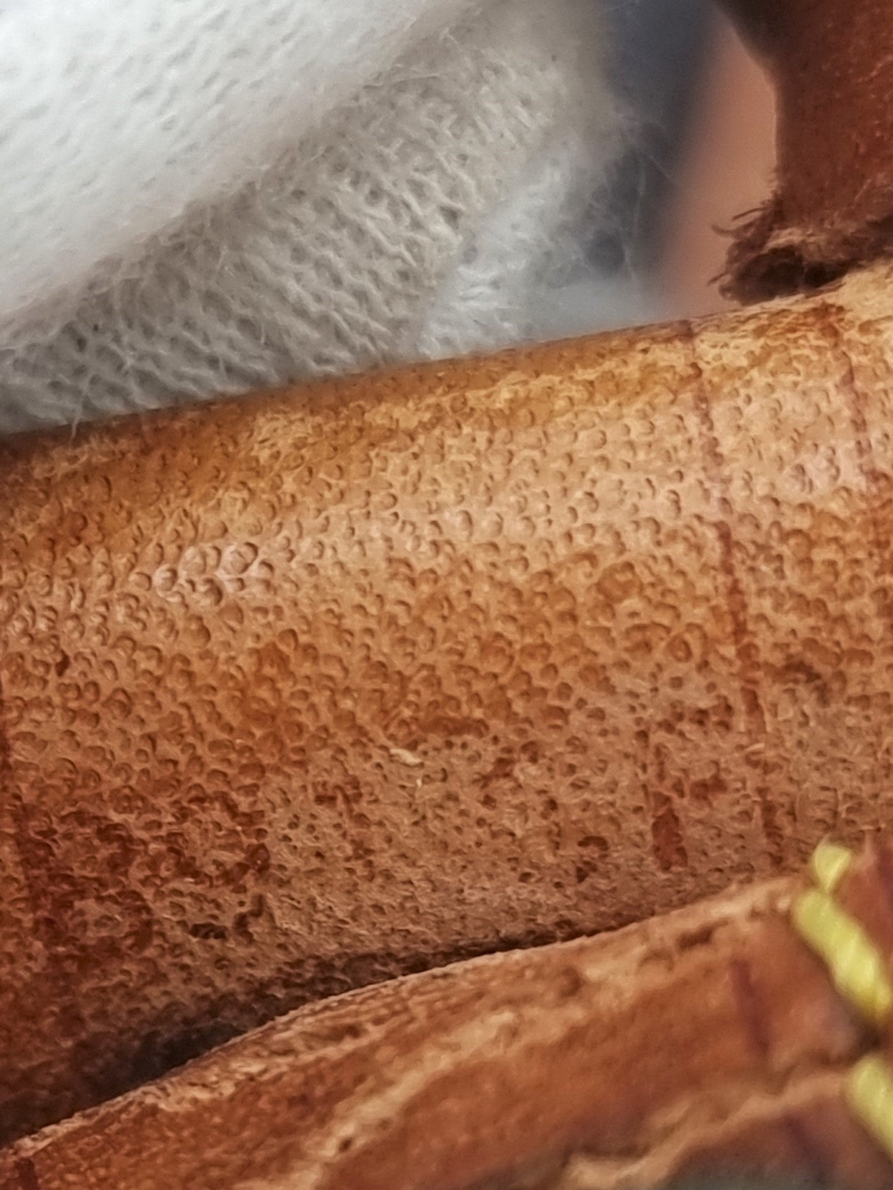 Louis Vuitton Petit Noe