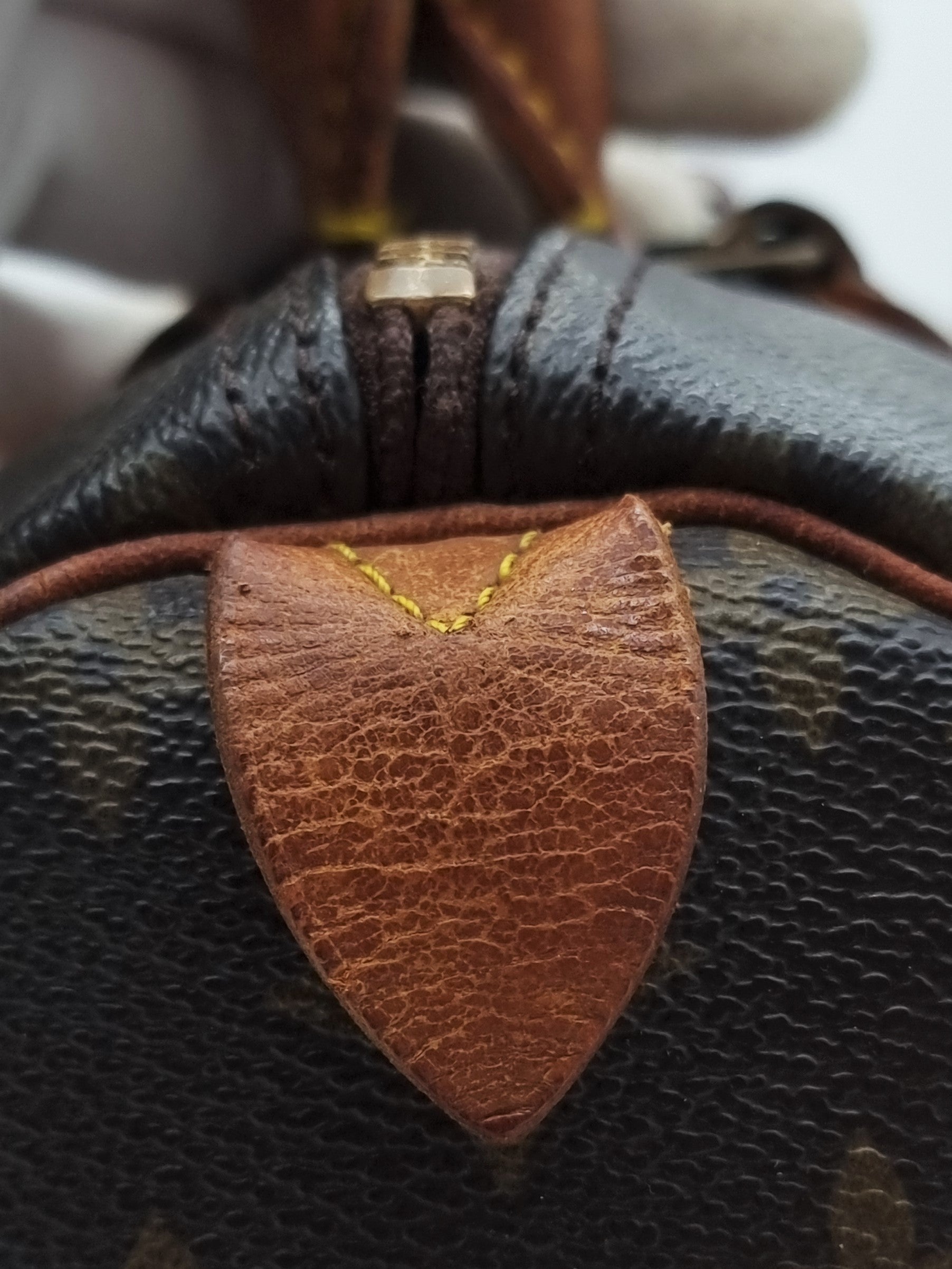 Louis Vuitton Speedy 30