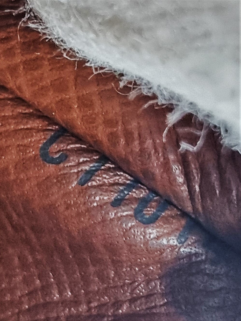 Louis Vuitton Sarah