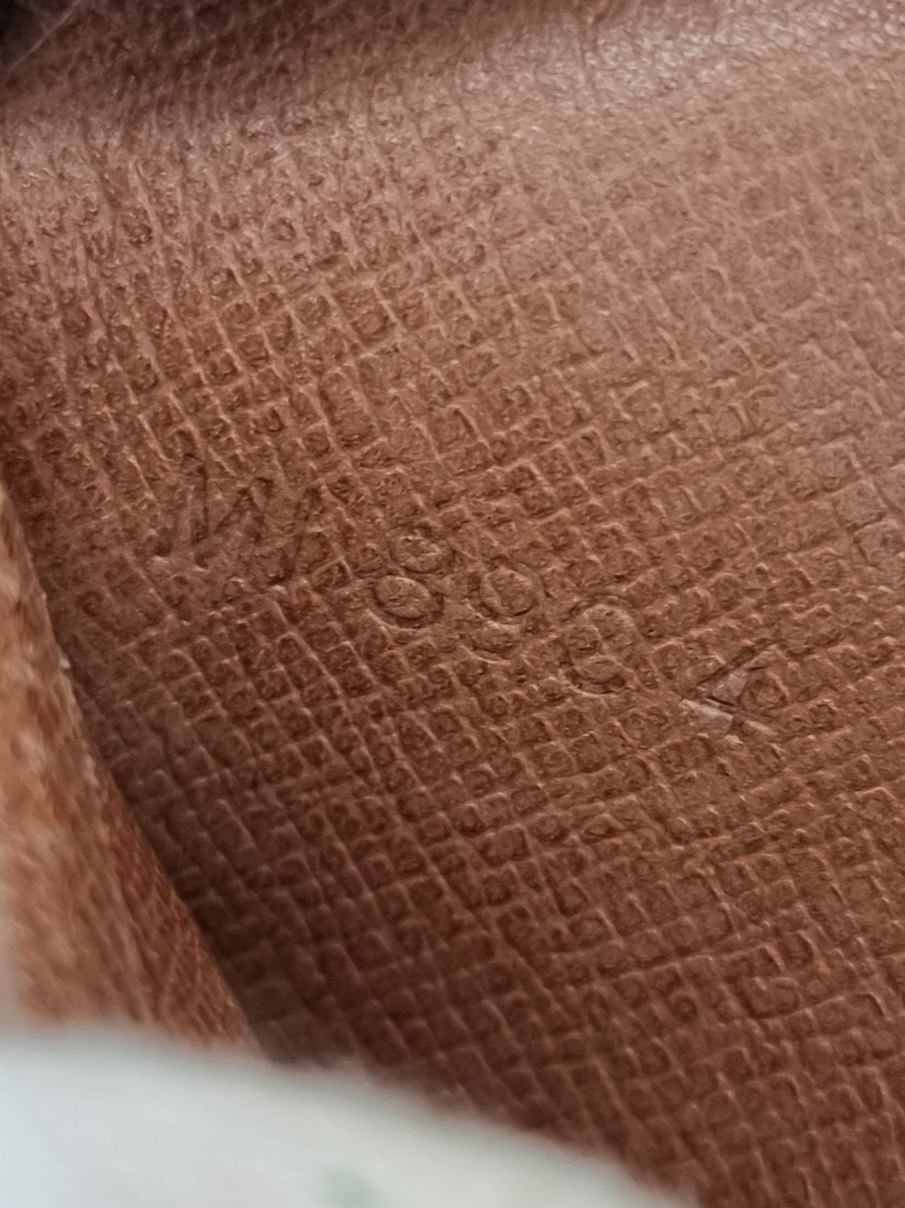 Louis Vuitton Sarah