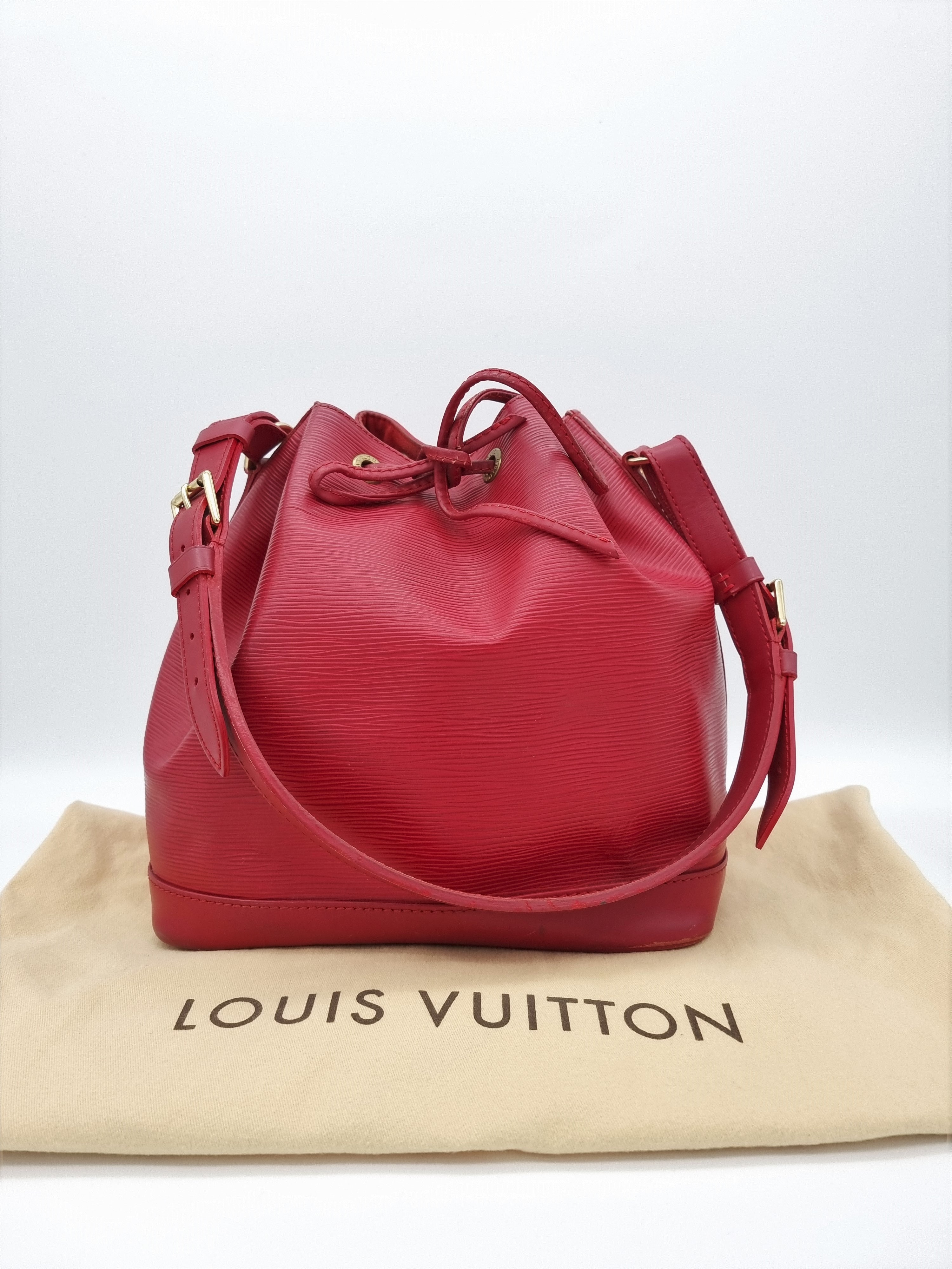Louis Vuitton Noe Epi