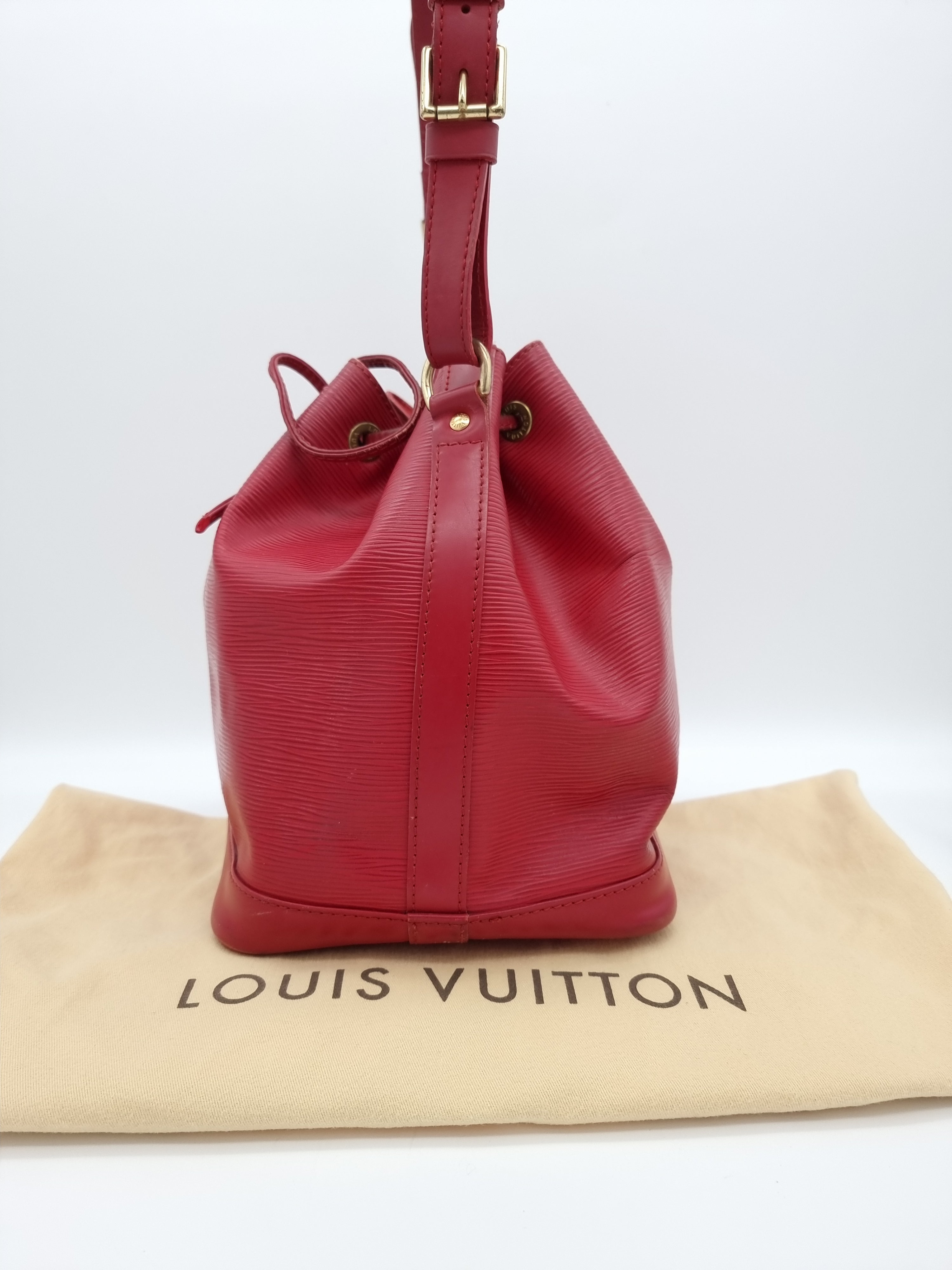 Louis Vuitton Noe Epi