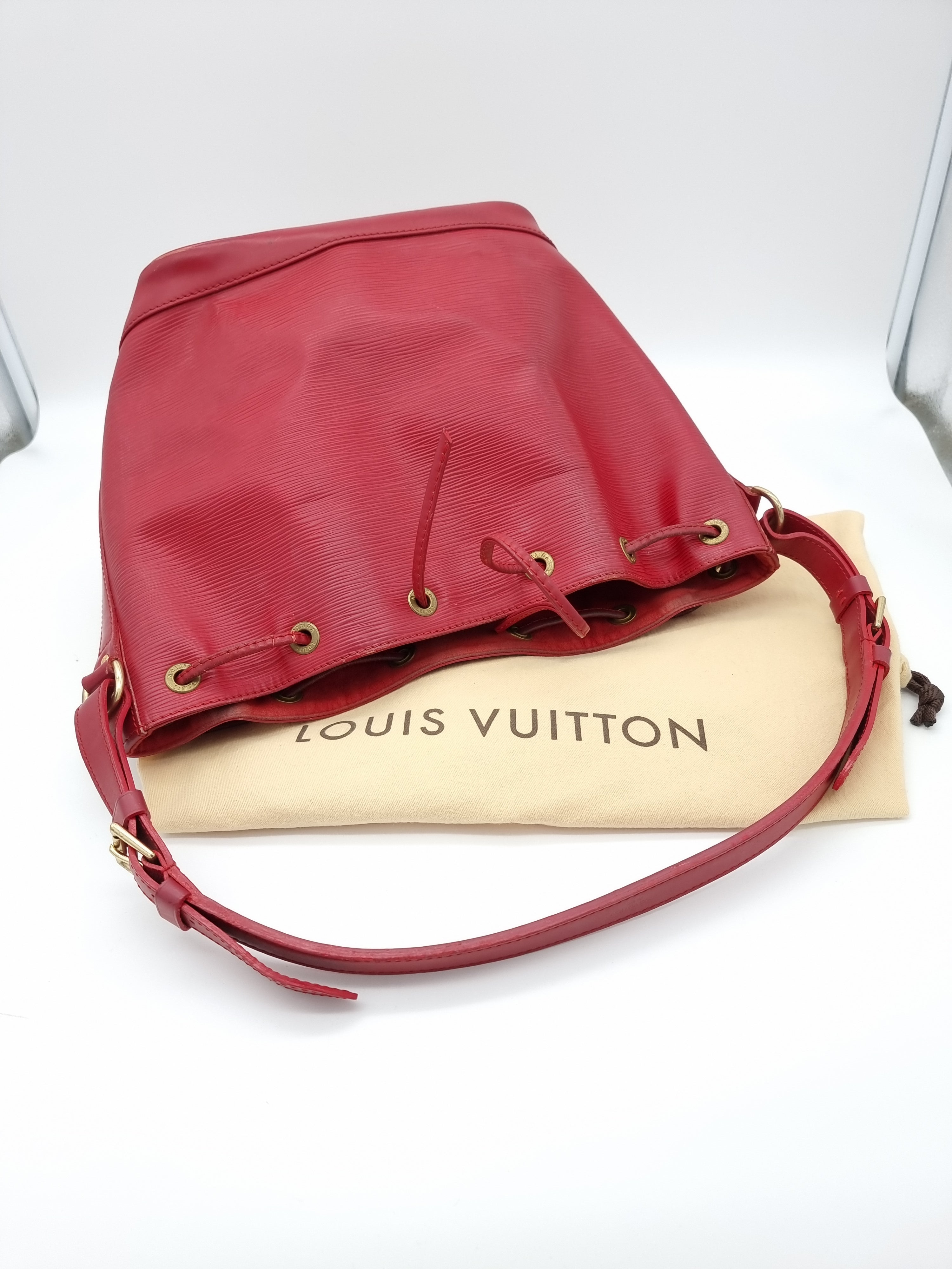 Louis Vuitton Noe Epi