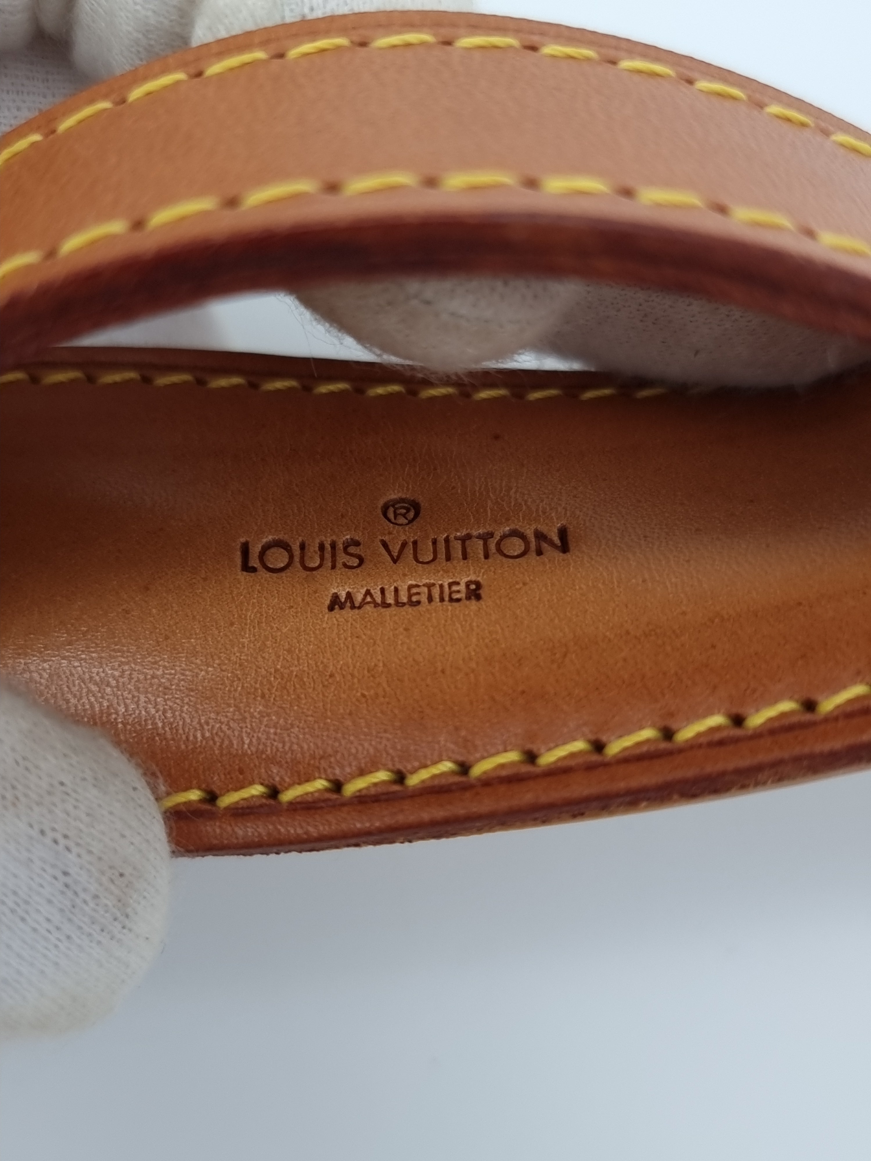 Louis Vuitton Bandouliere Hihna