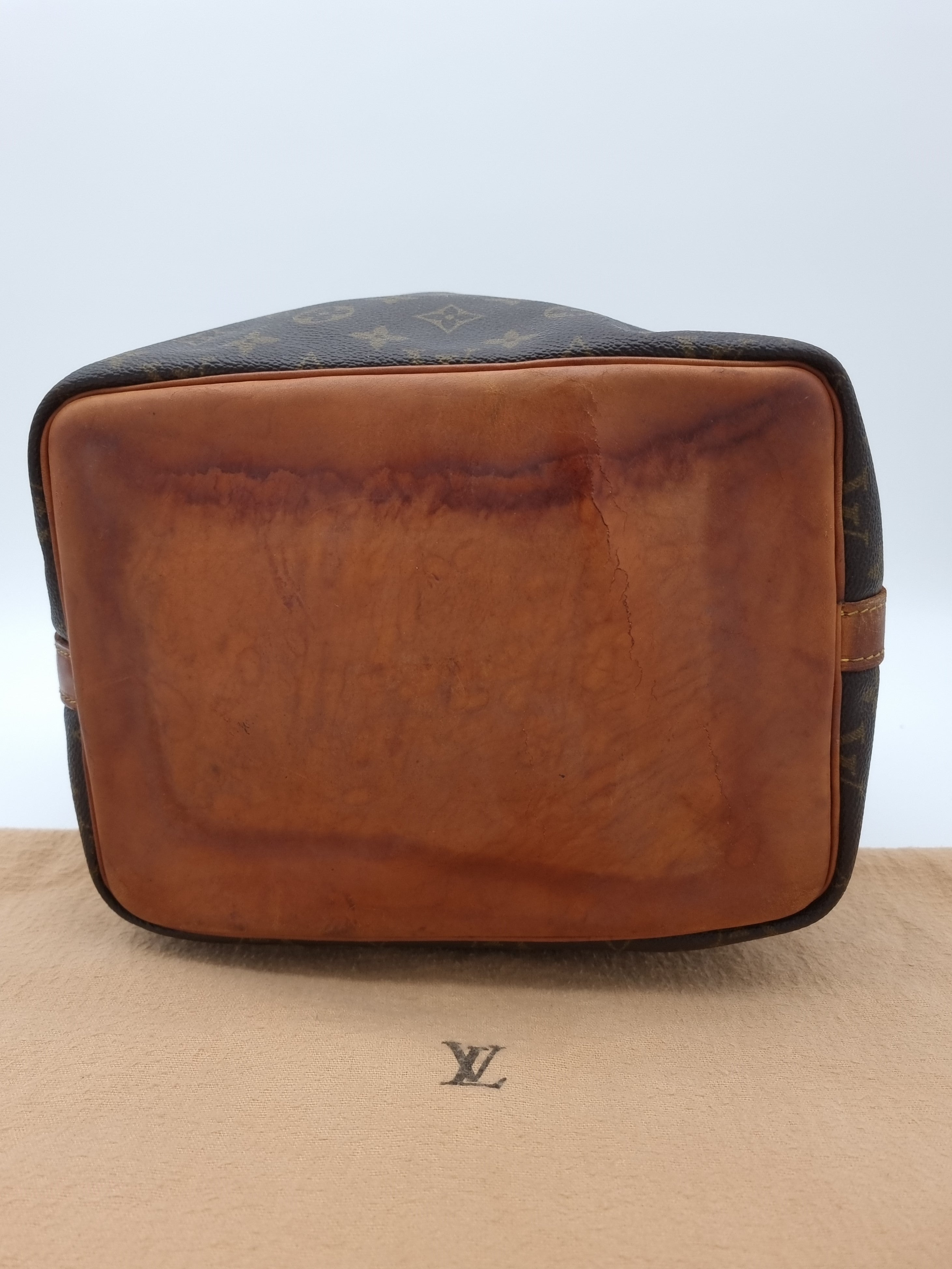 Louis Vuitton Petit Noe