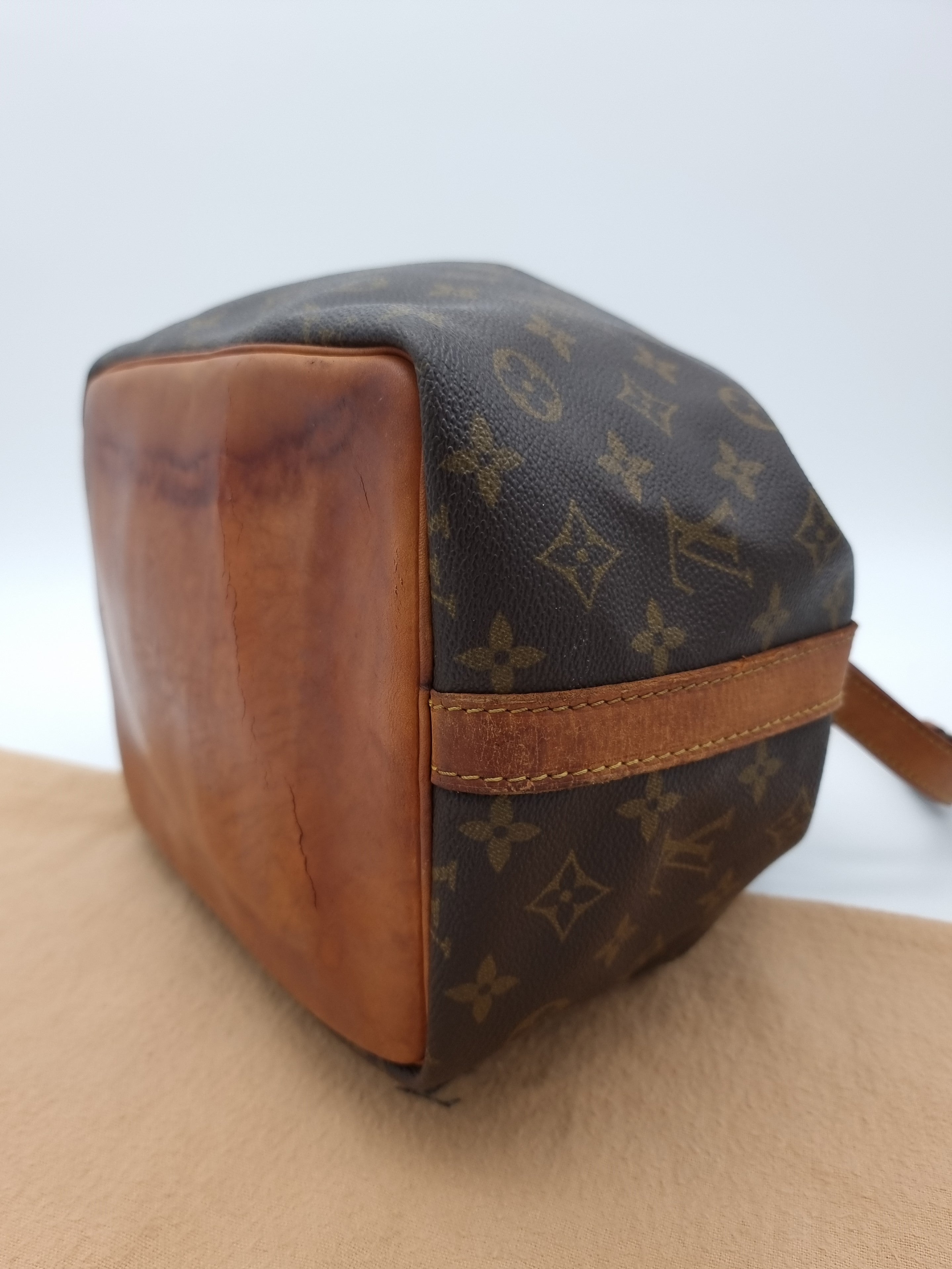 Louis Vuitton Petit Noe