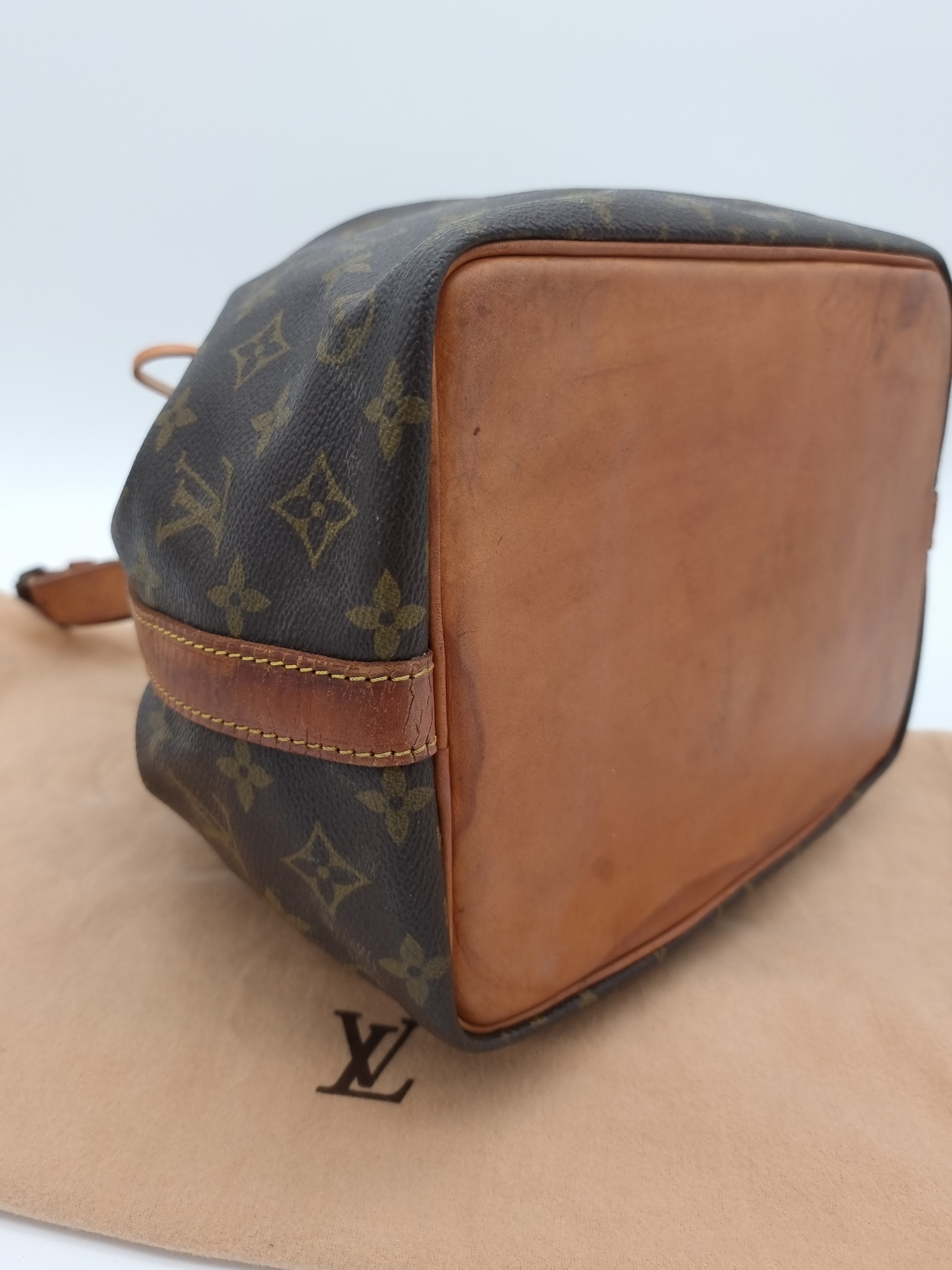 Louis Vuitton Petit Noe