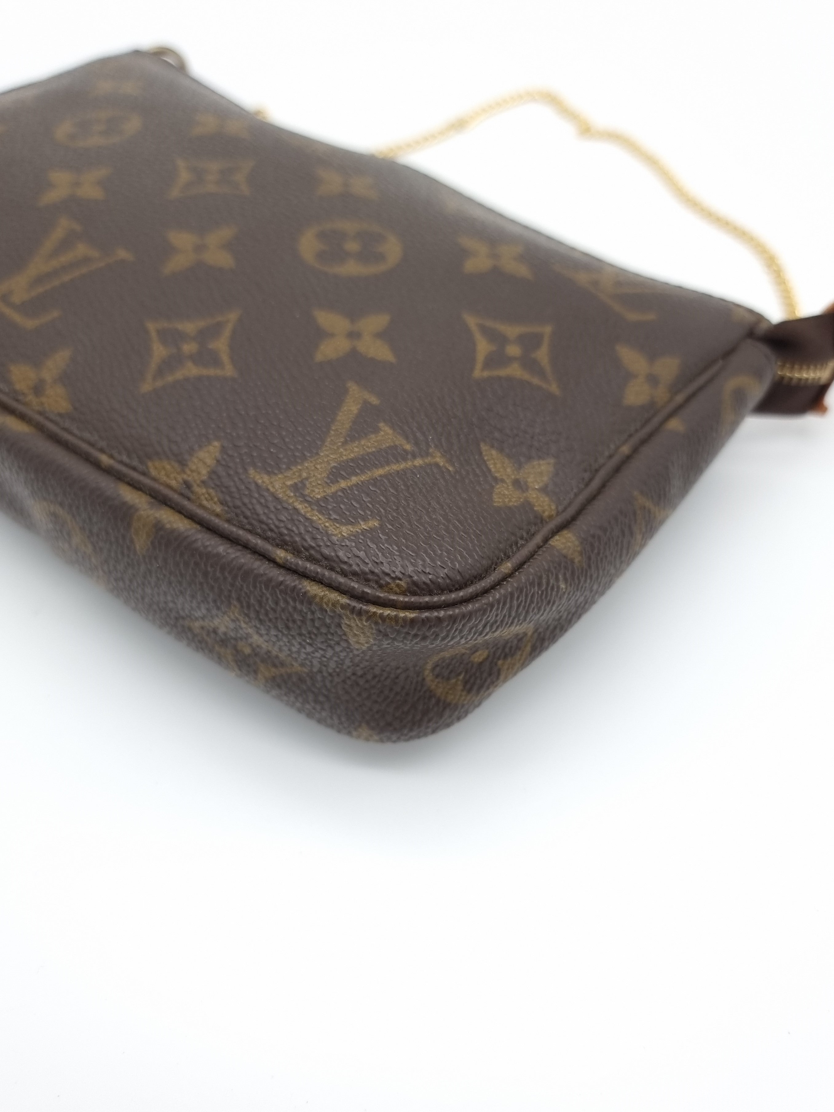 Louis Vuitton Pochette Accessoires