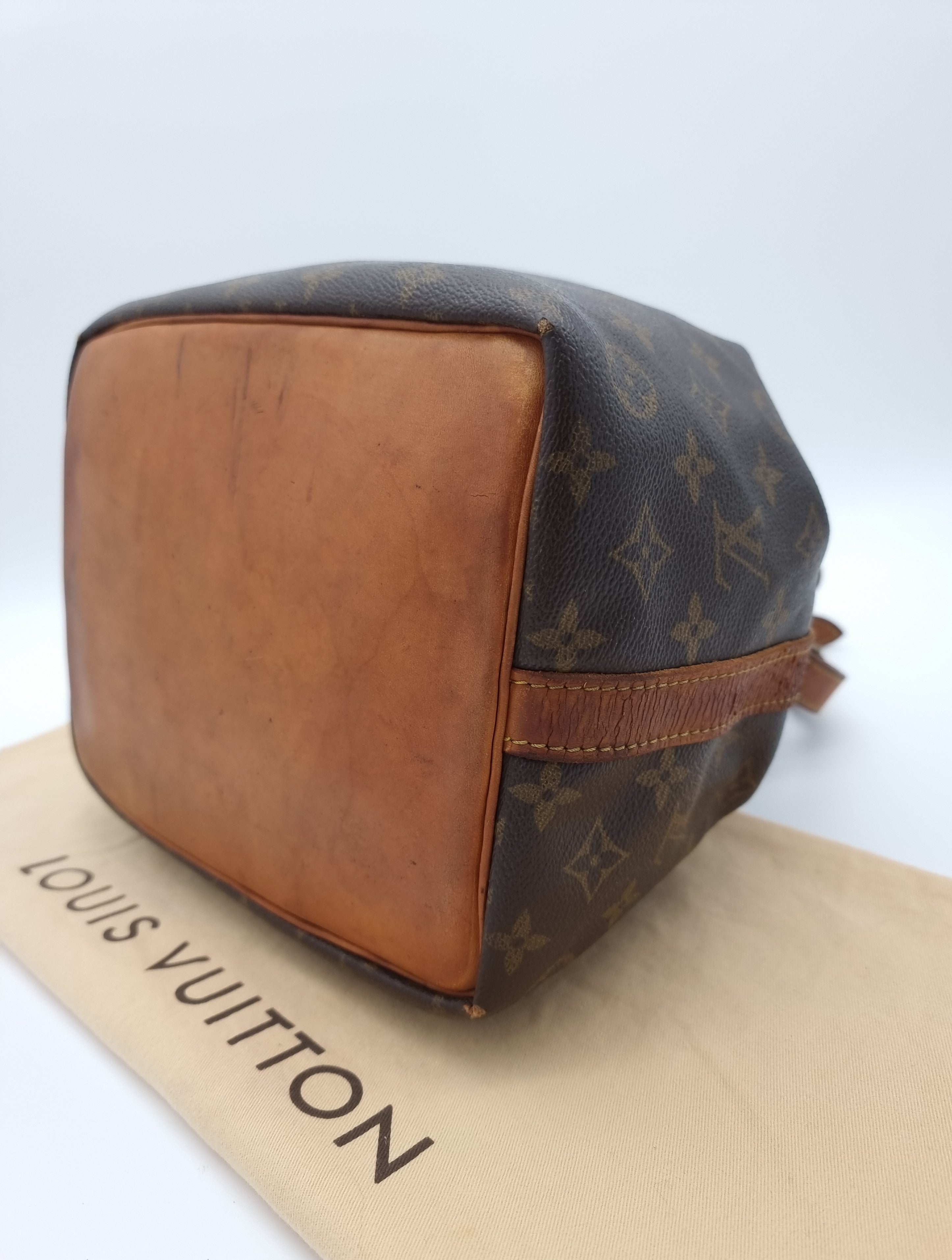 Louis Vuitton Petit Noe
