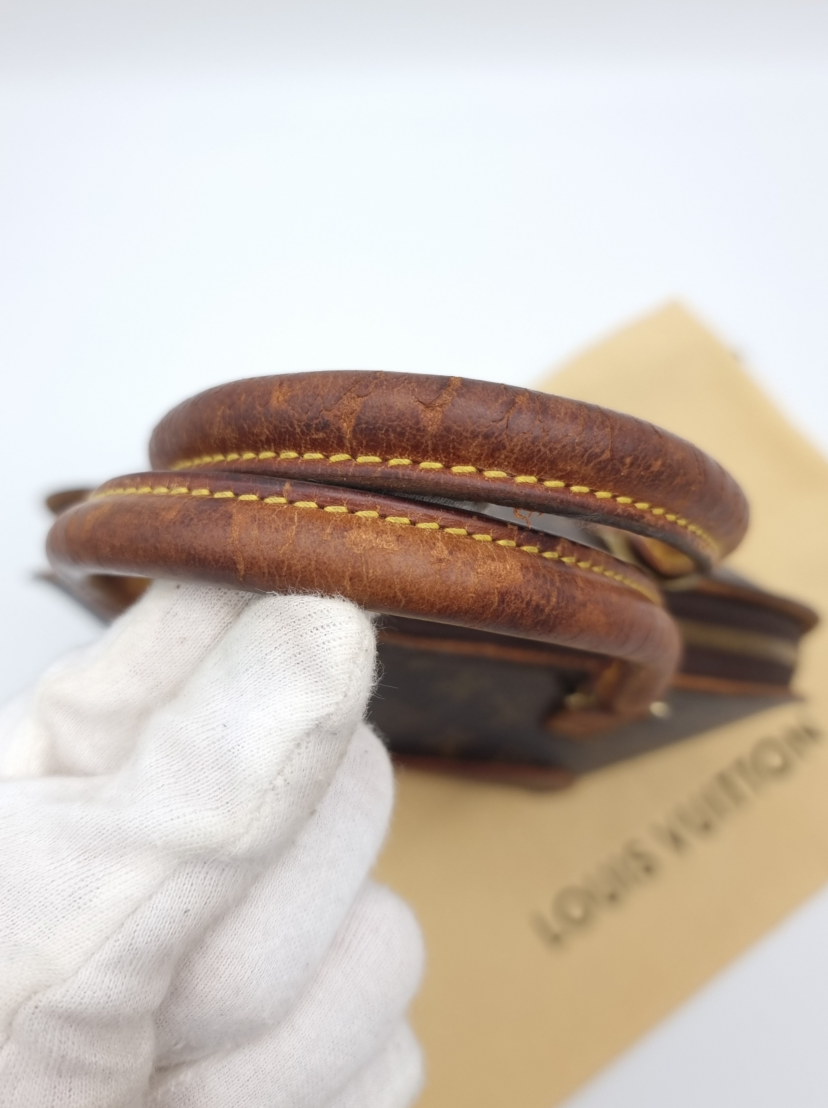 Louis Vuitton Ellipse