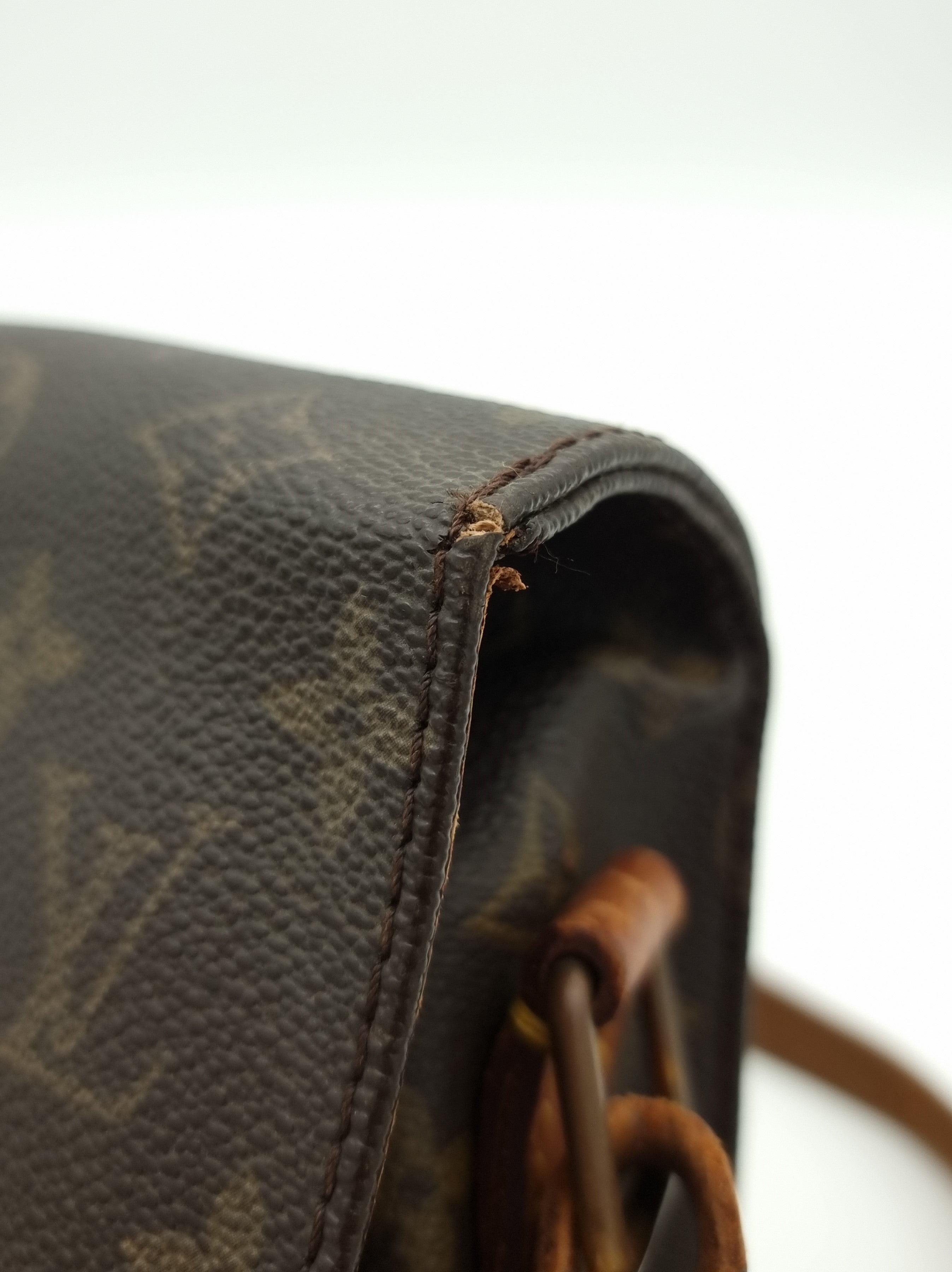 Louis Vuitton Cartouchiere MM