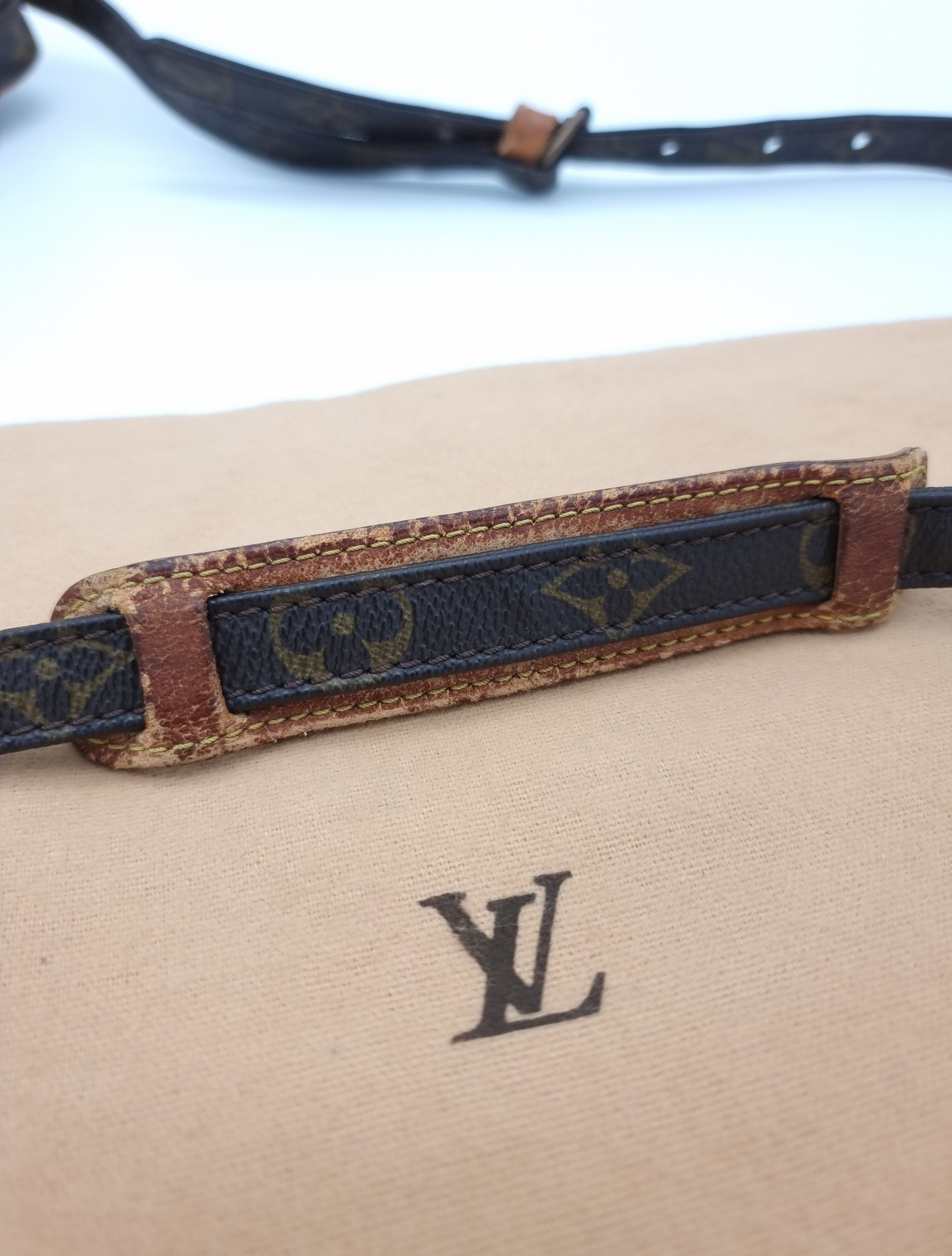 Louis Vuitton Danube
