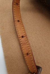 Louis Vuitton Saint Cloud PM