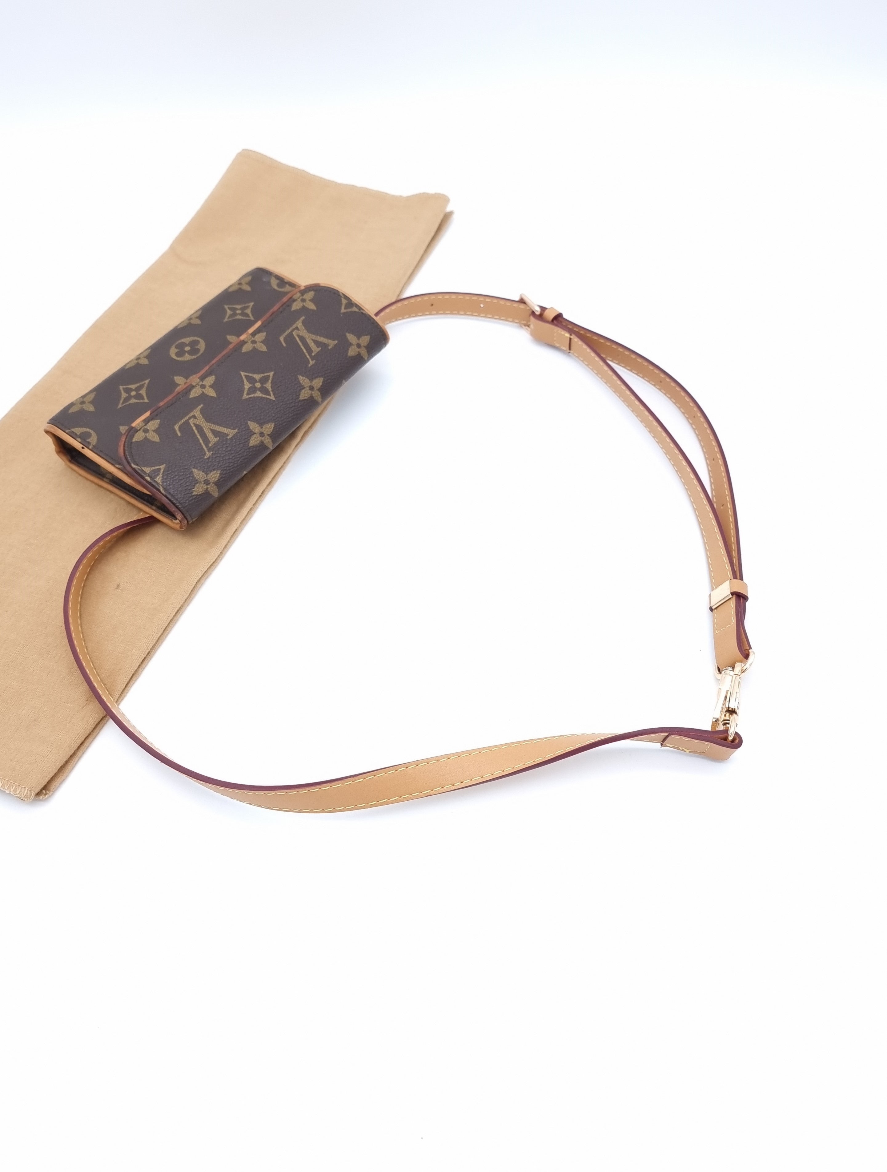 Louis Vuitton Florentine Pouch