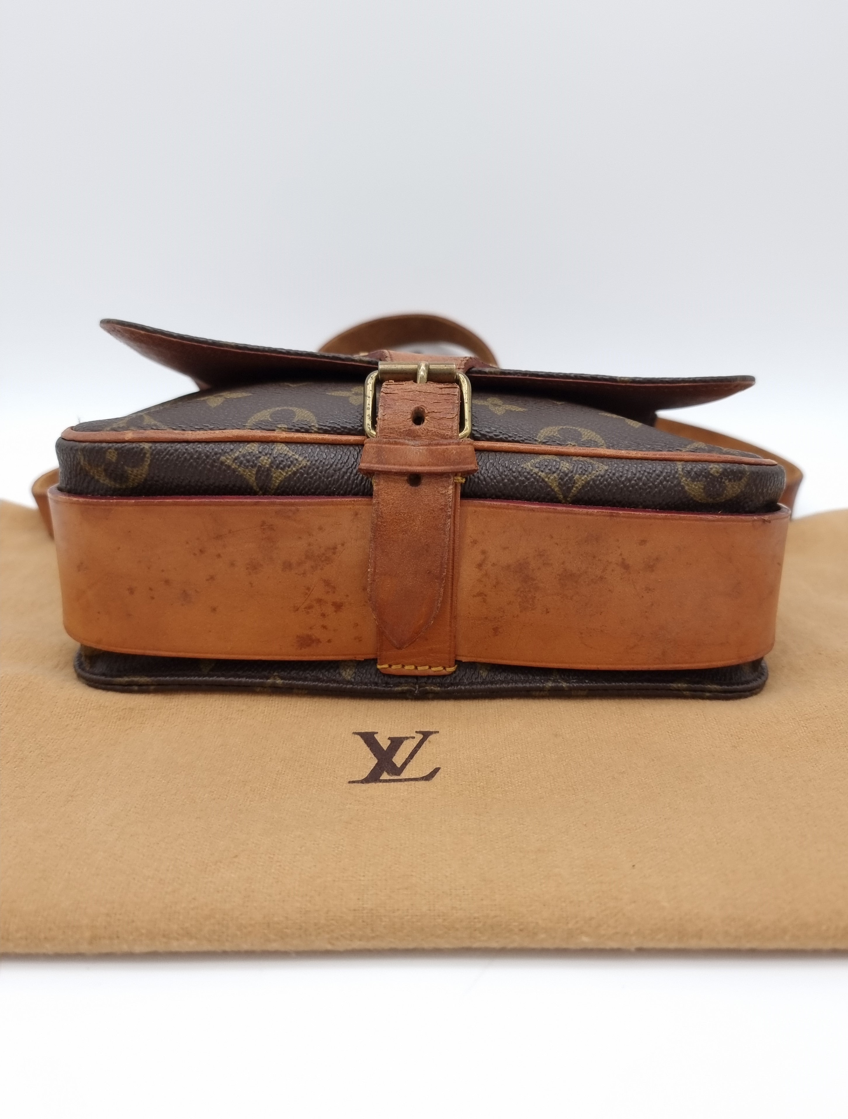 Louis Vuitton Cartouchiere MM