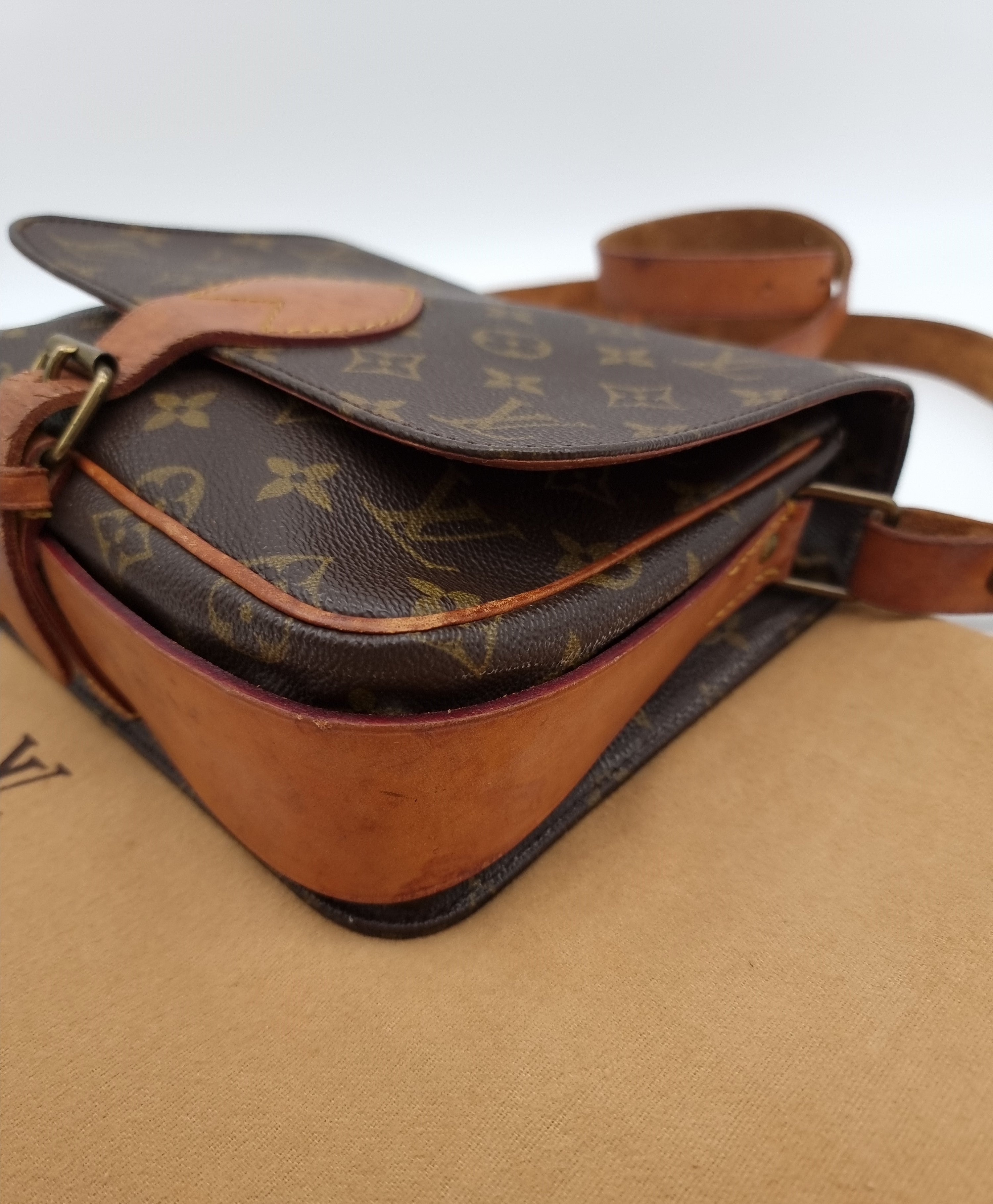 Louis Vuitton Cartouchiere MM