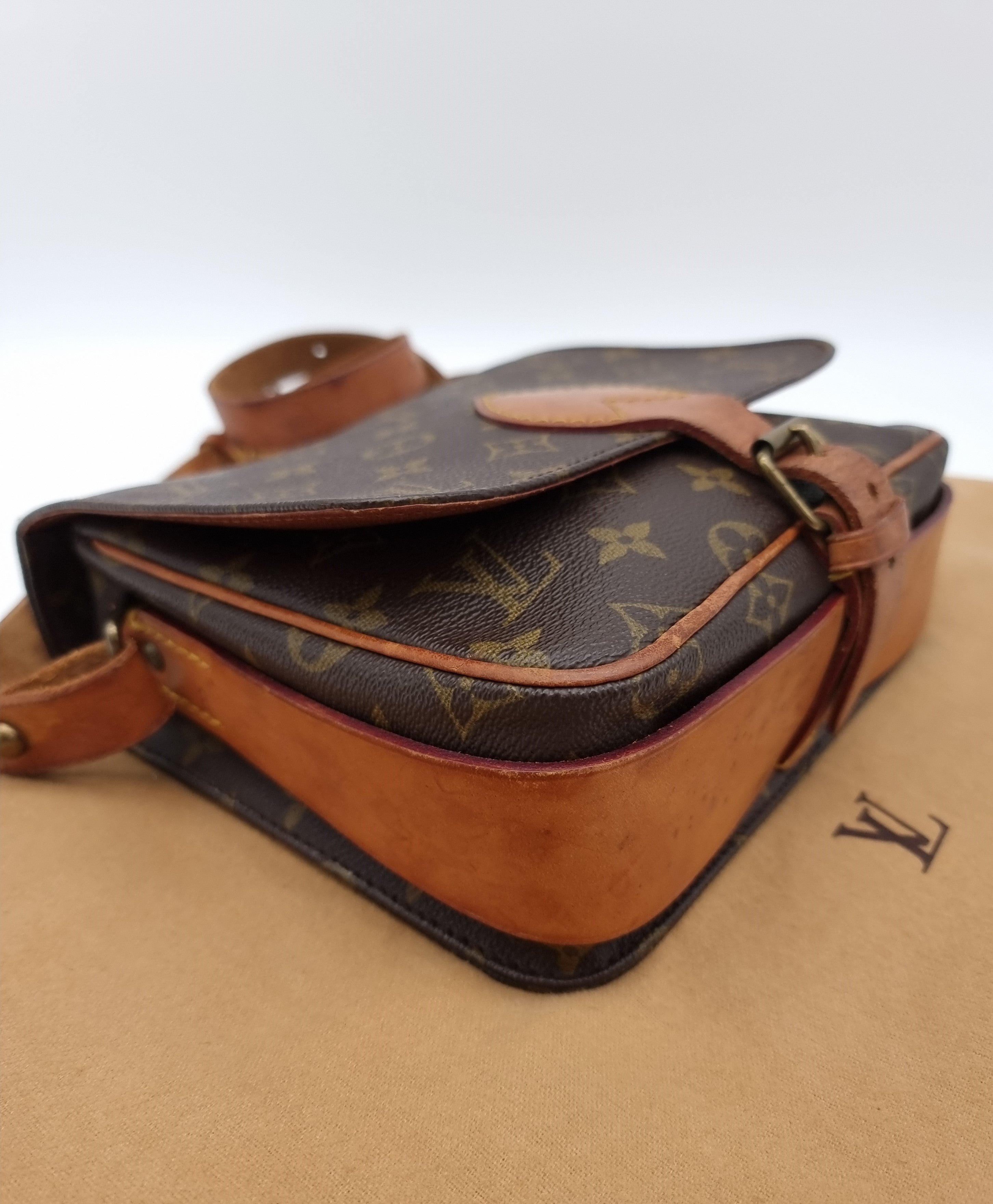 Louis Vuitton Cartouchiere MM
