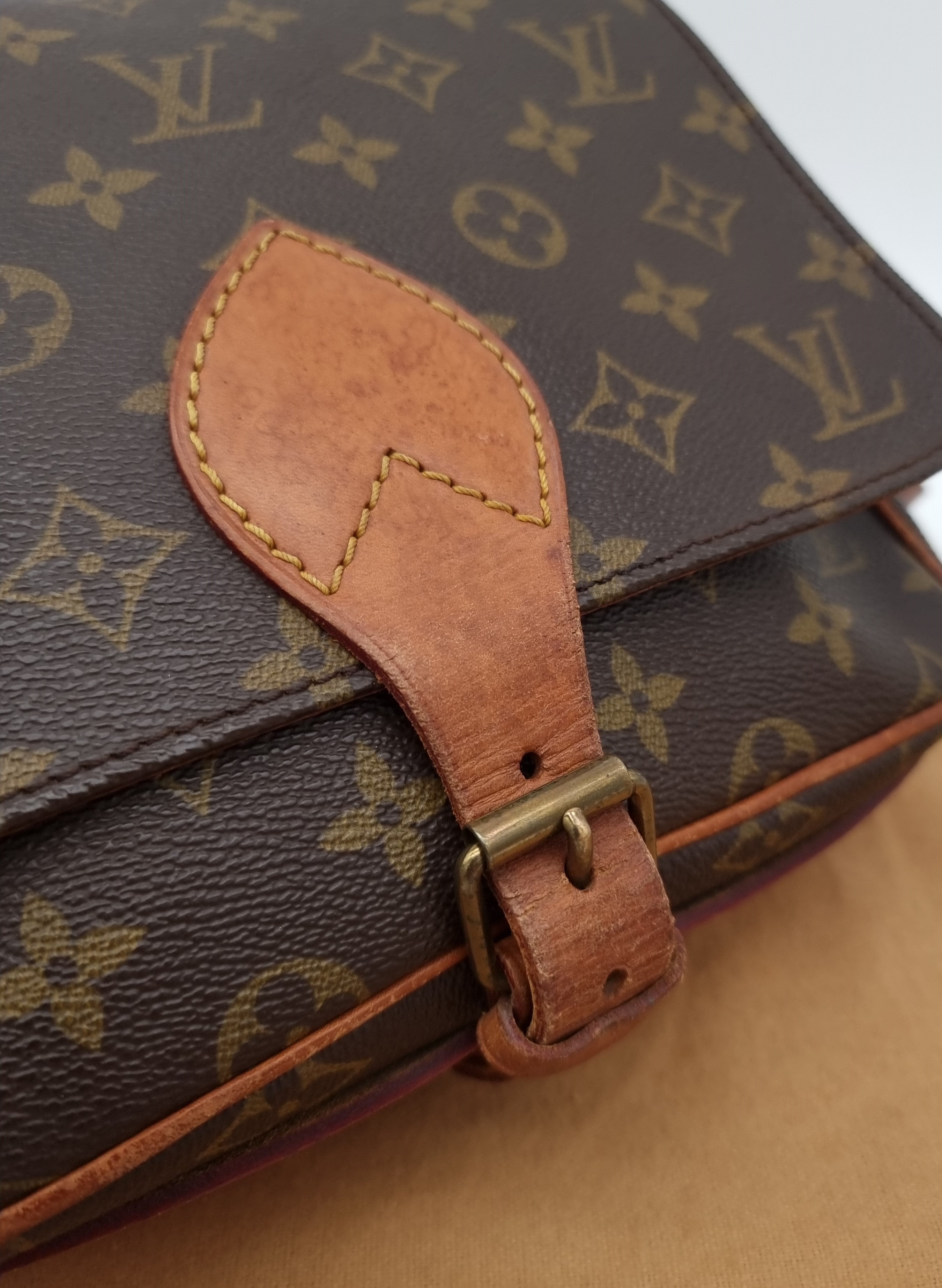 Louis Vuitton Cartouchiere MM