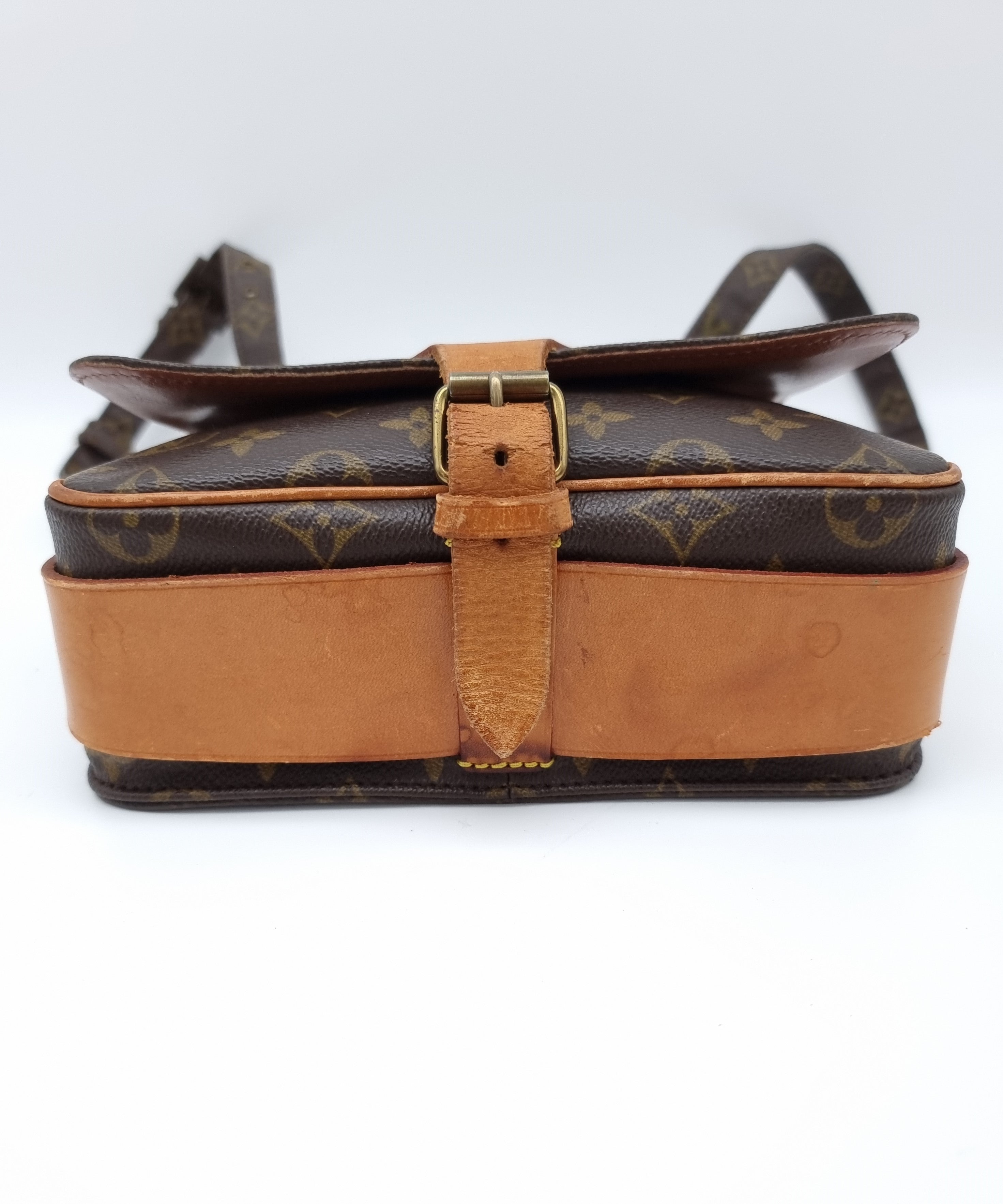 Louis Vuitton Cartouchiere MM