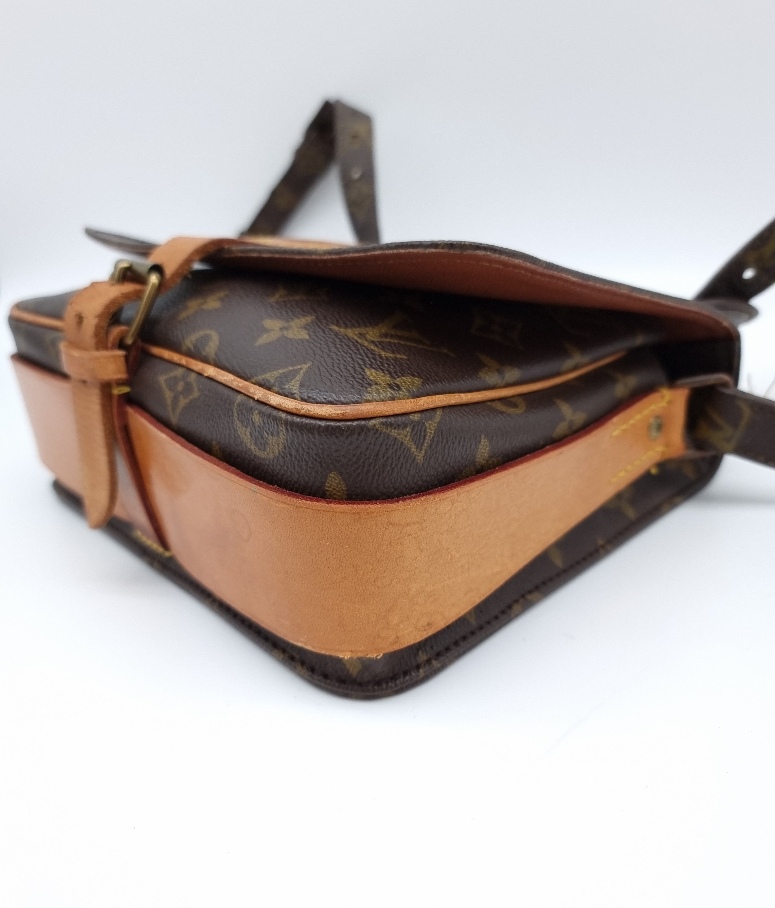 Louis Vuitton Cartouchiere MM