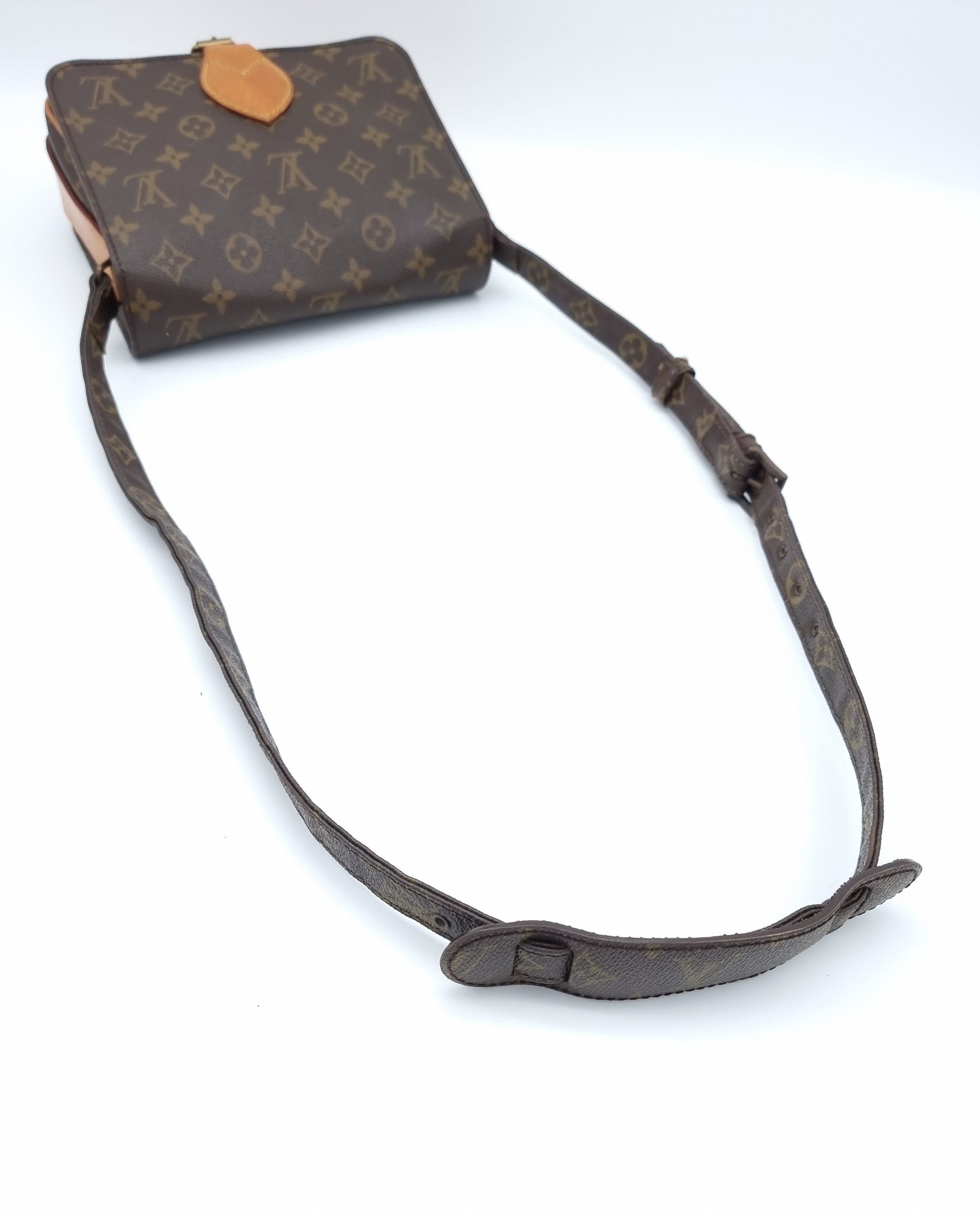 Louis Vuitton Cartouchiere MM