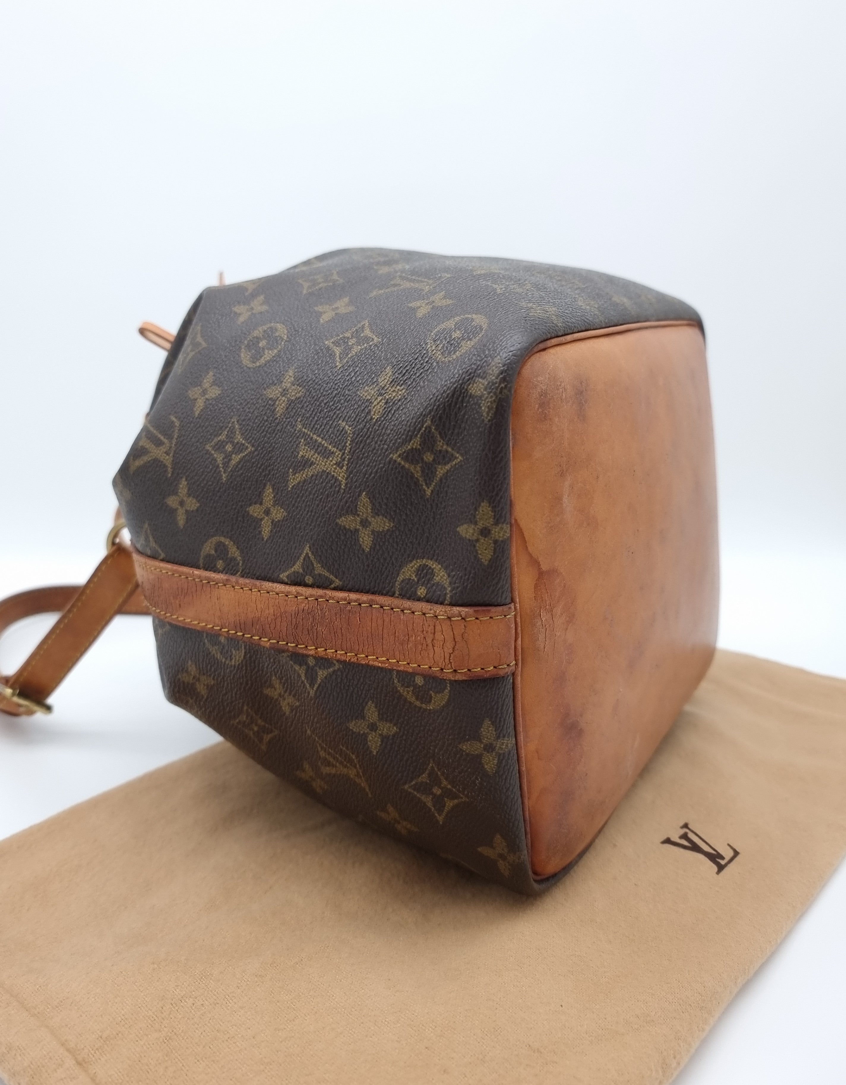 Louis Vuitton Petit Noe
