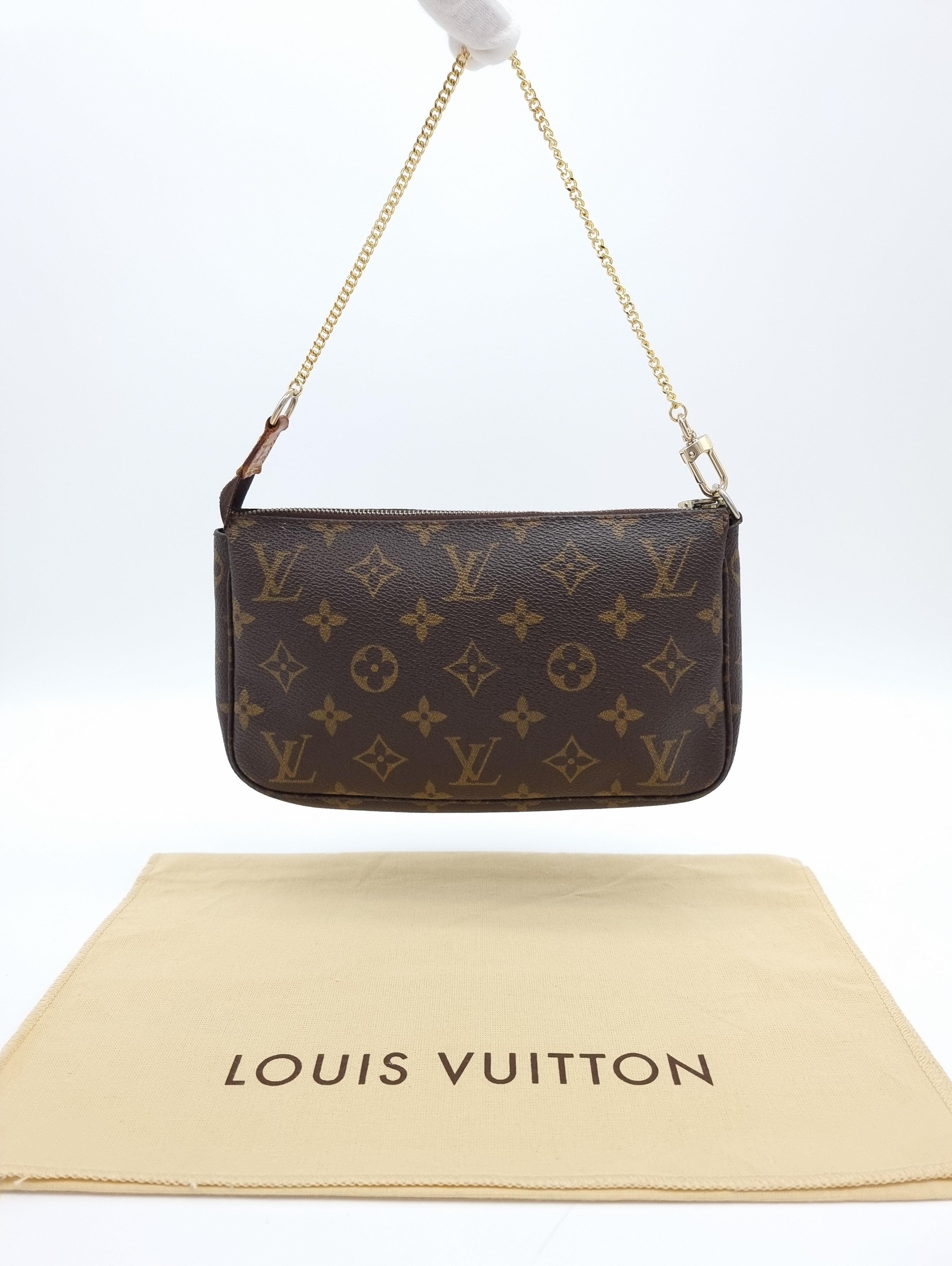 Louis Vuitton Pochette Accessoires