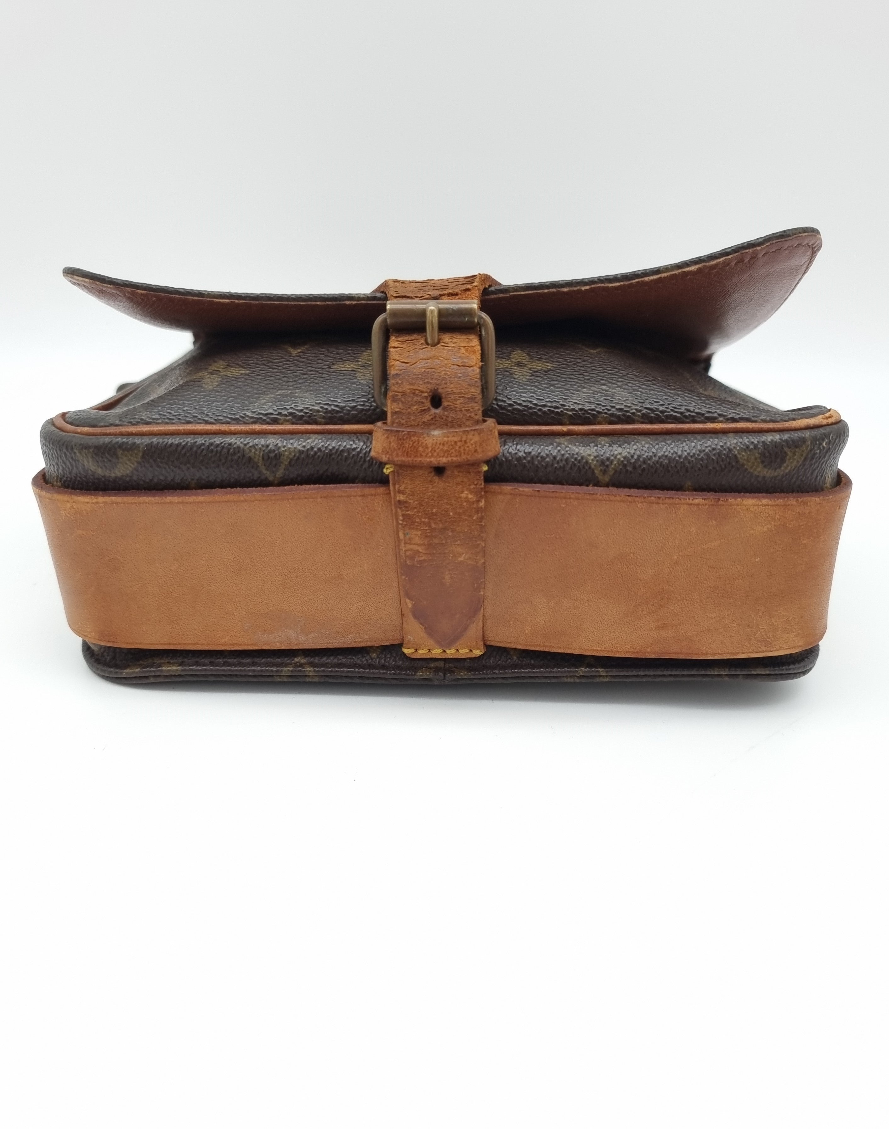 Louis Vuitton Cartouchiere MM
