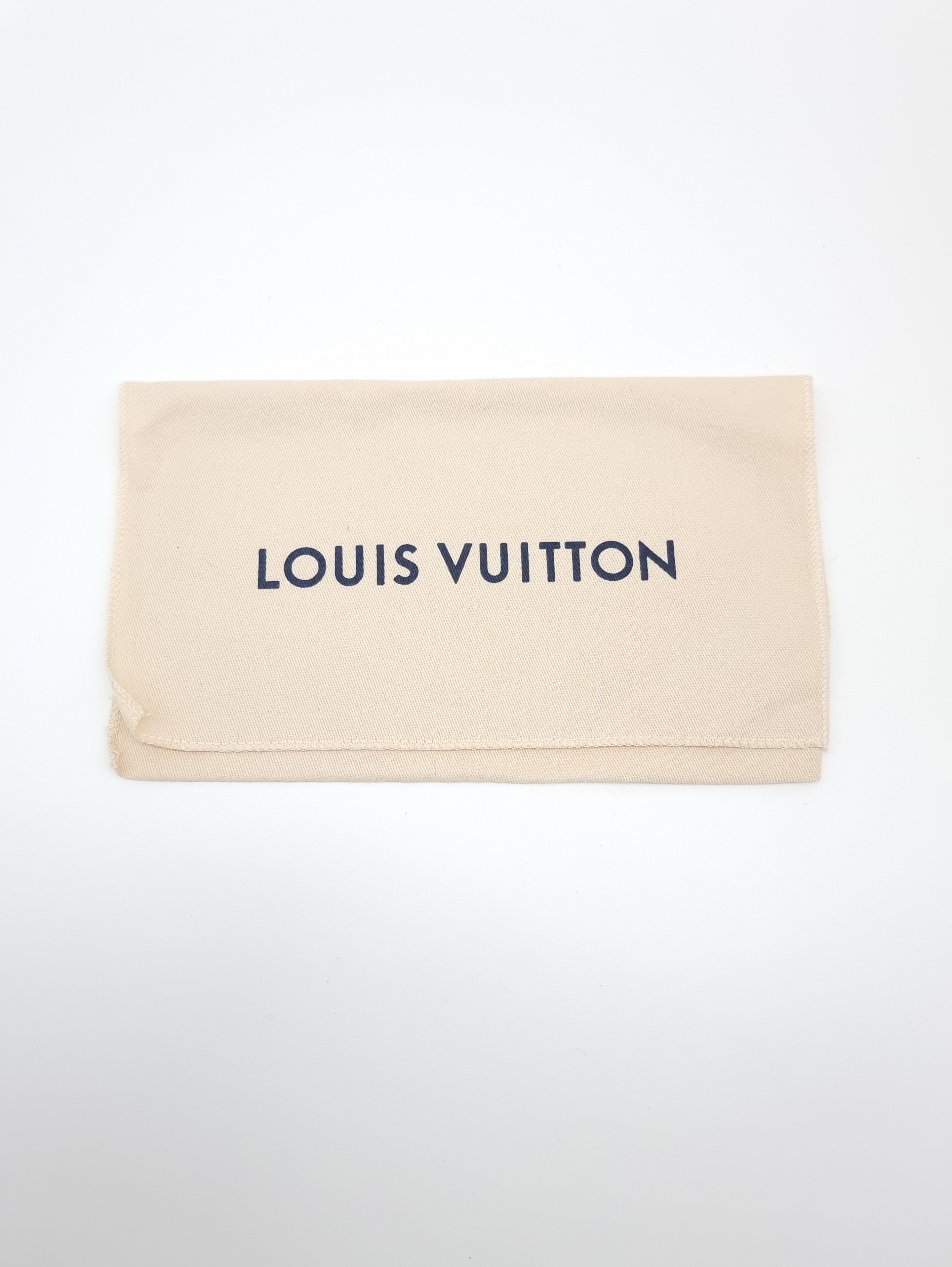 Louis Vuitton Pochette Accessoires