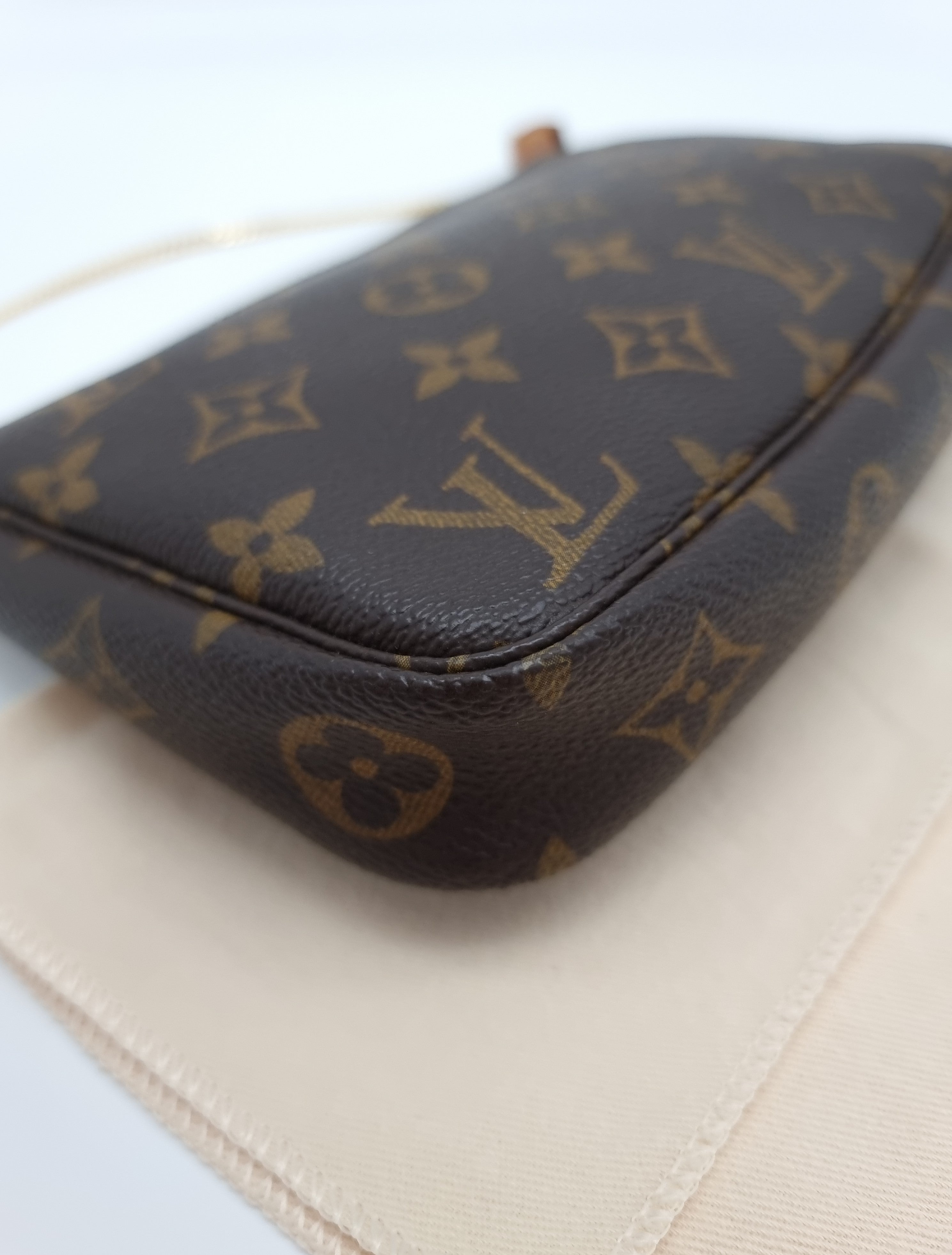 Louis Vuitton Pochette Accessoires