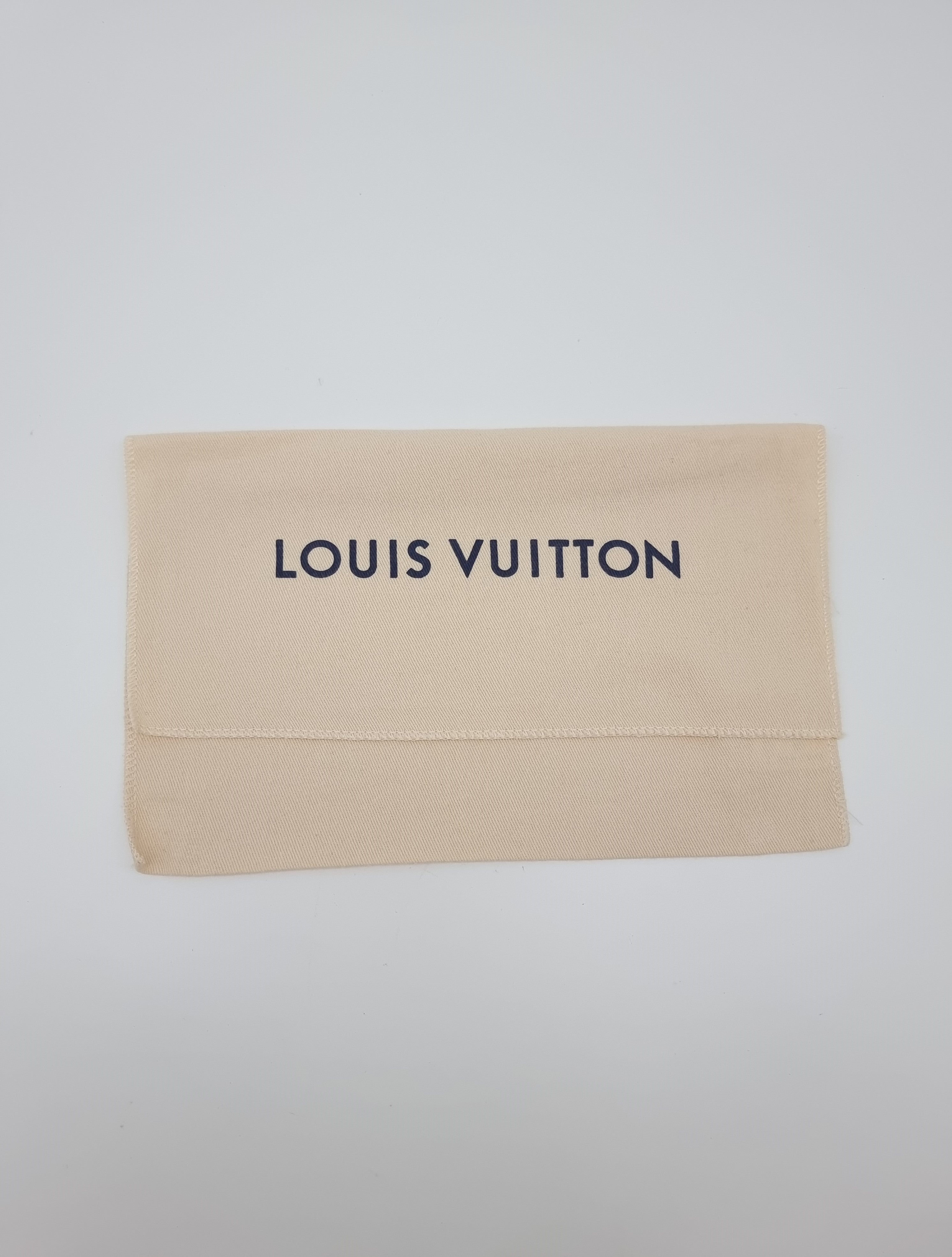 Louis Vuitton Pochette Accessoires