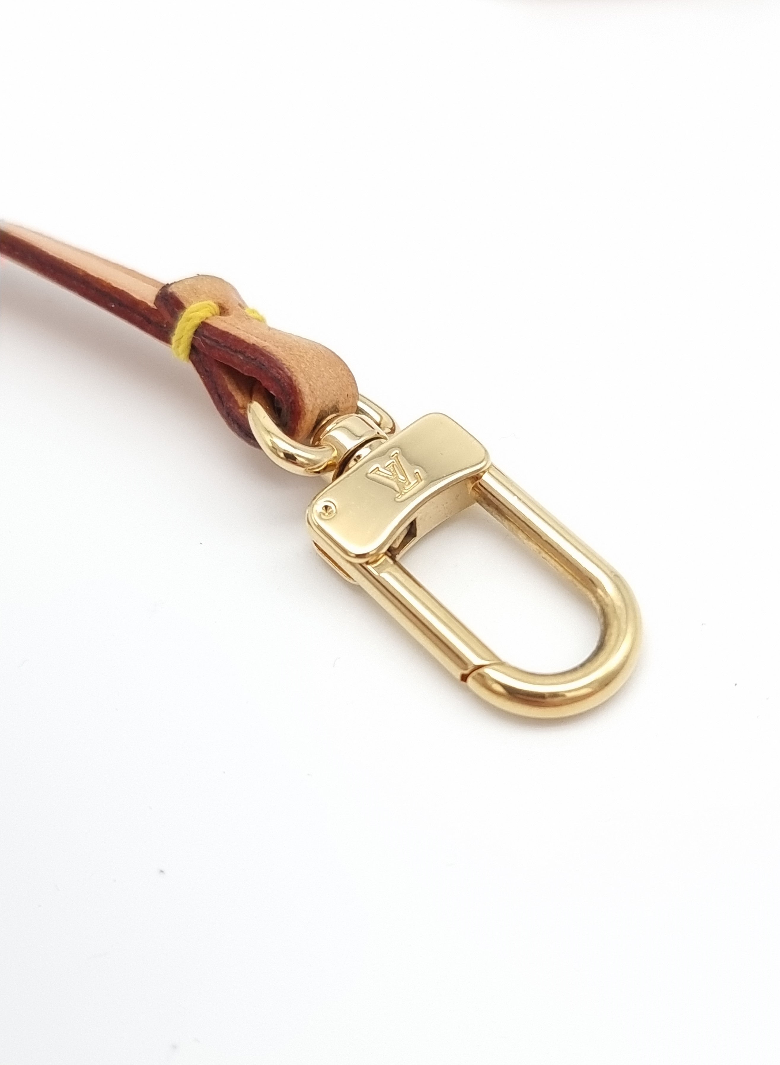 Louis Vuitton Pochette Accessoires Leather Strap