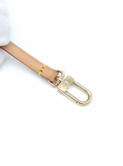 Louis Vuitton Pochette Accessoires Leather Strap
