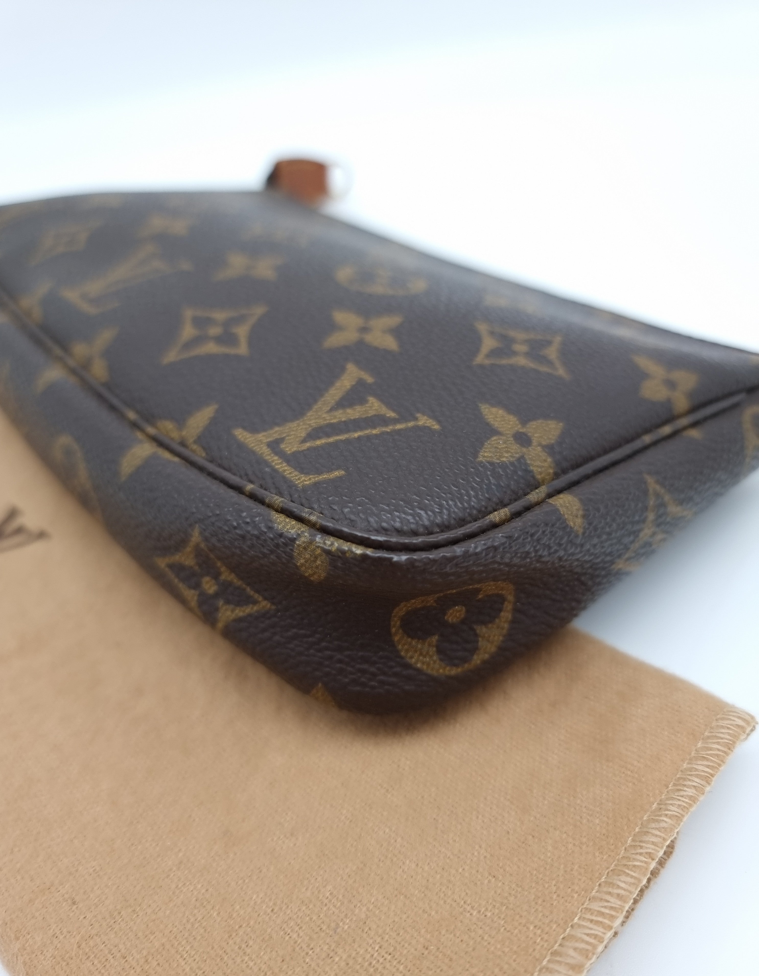Louis Vuitton Pochette Accessoires