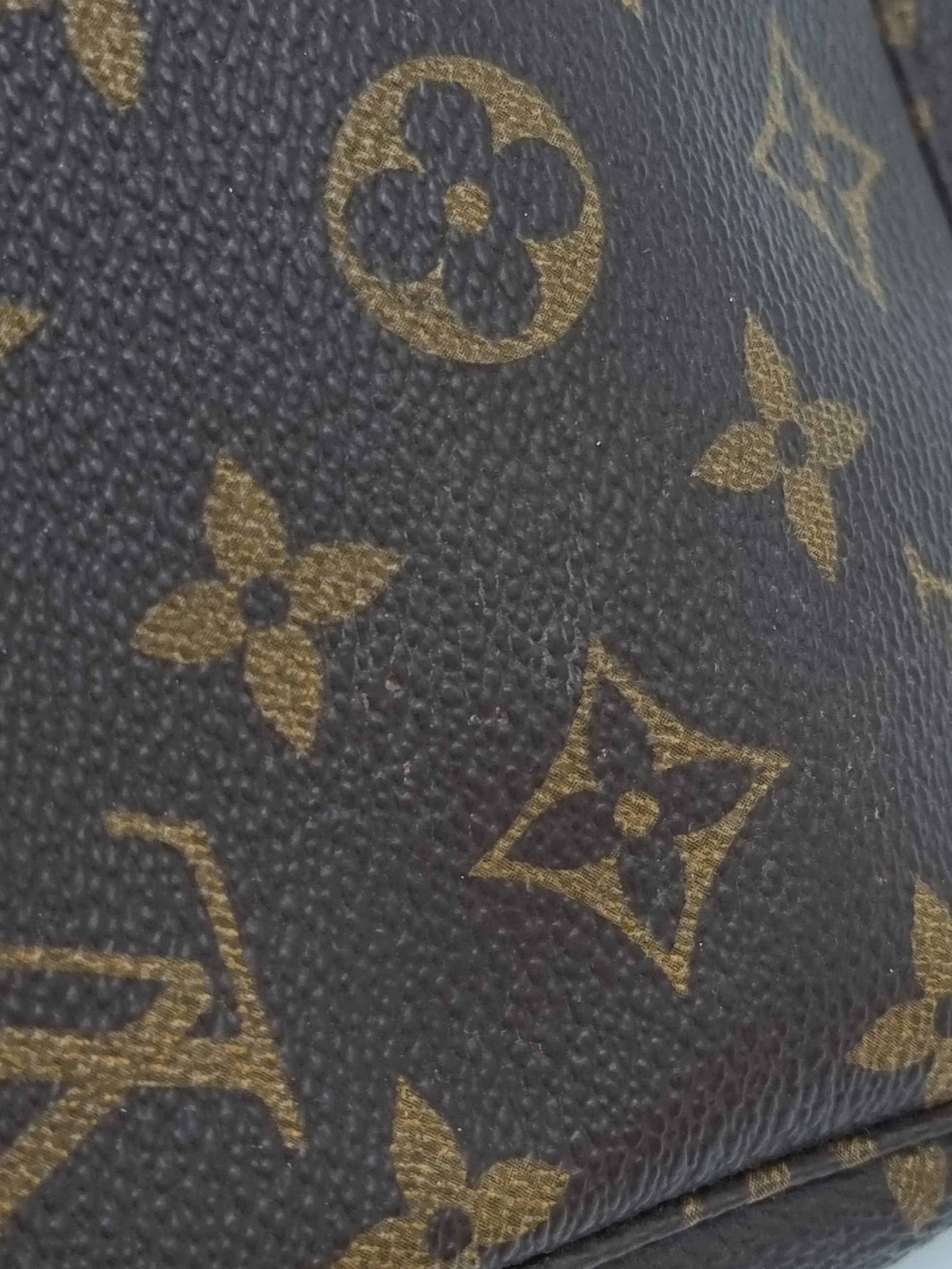 Louis Vuitton Pochette Accessoires