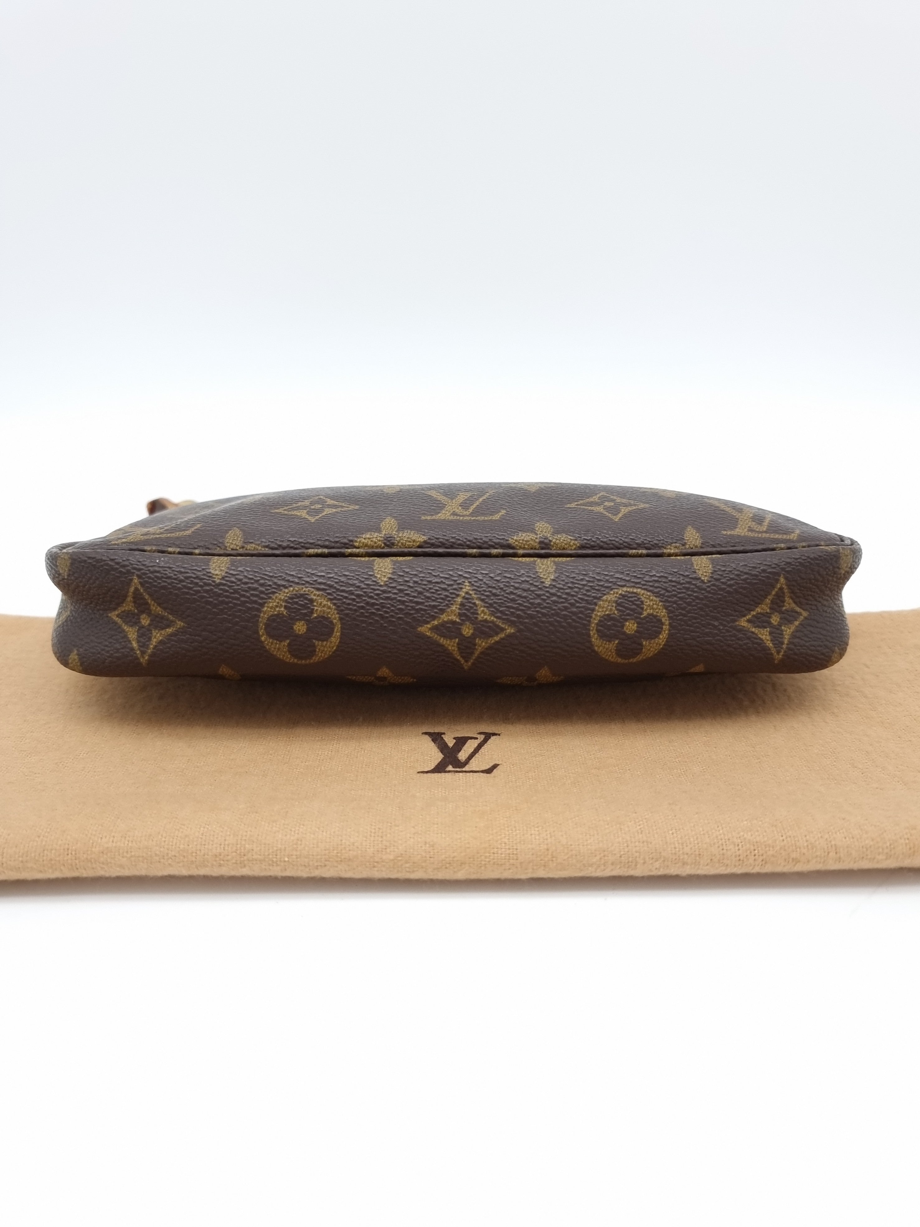 Louis Vuitton Pochette Accessoires