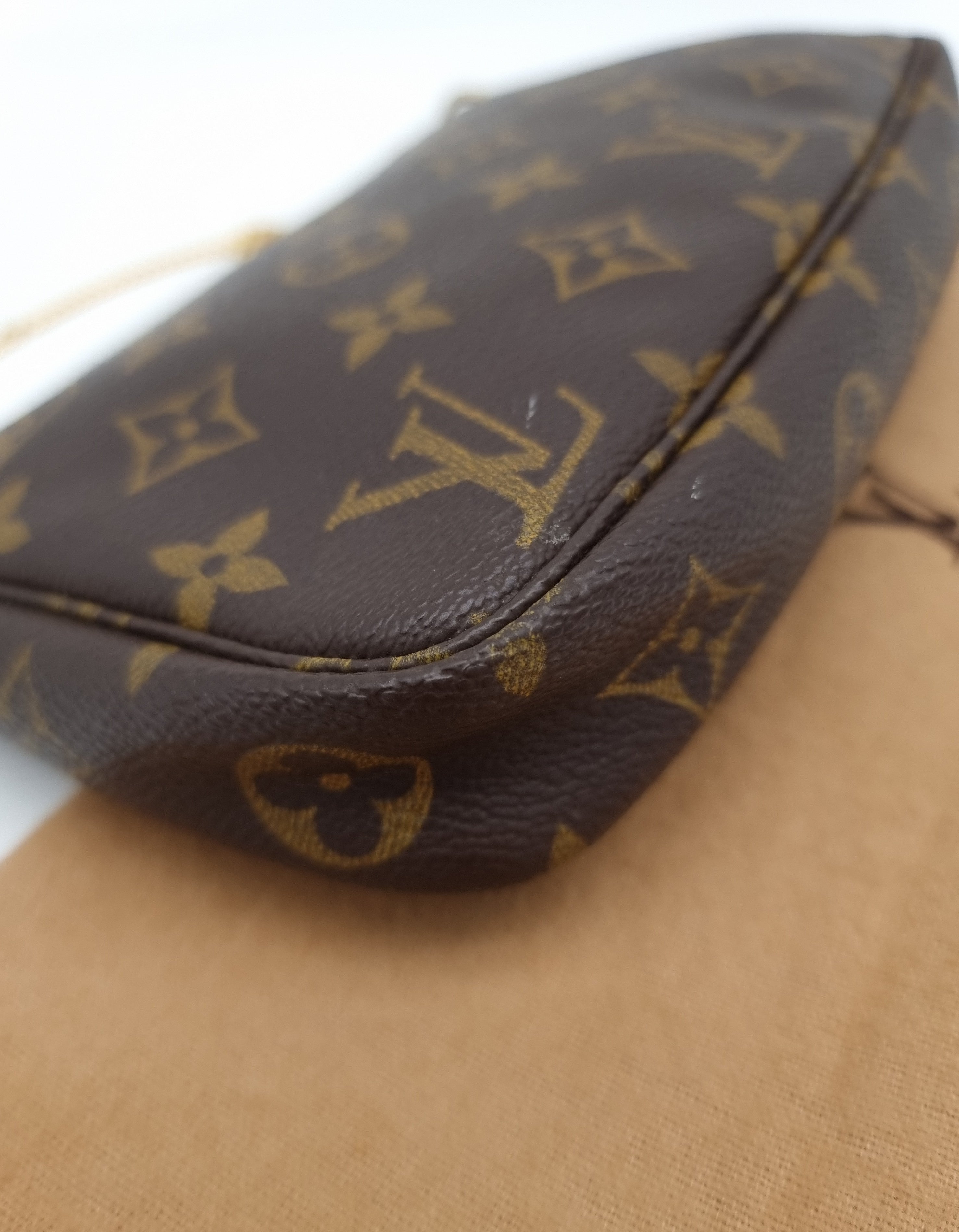 Louis Vuitton Pochette Accessoires