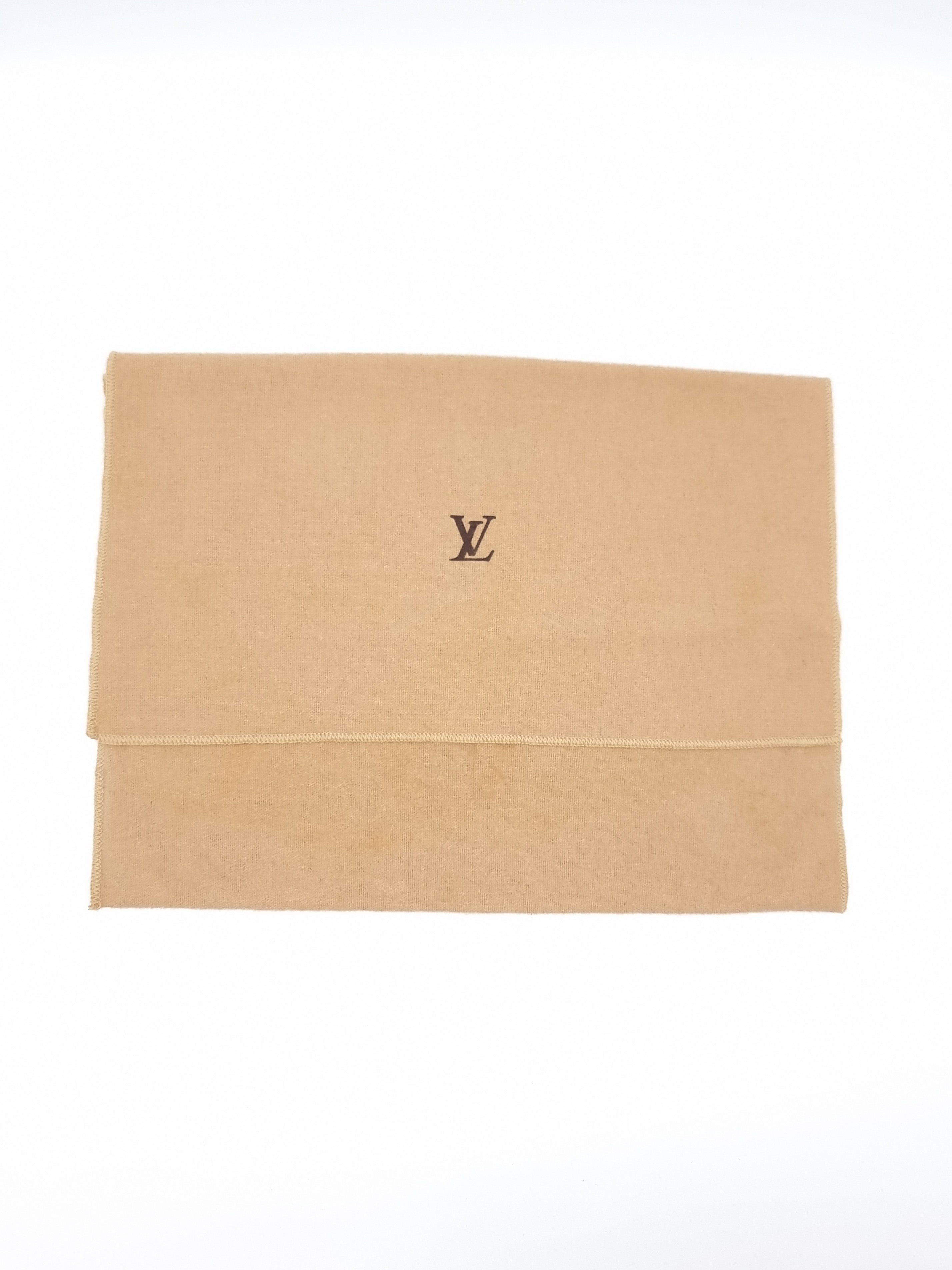 Louis Vuitton Pochette Accessoires