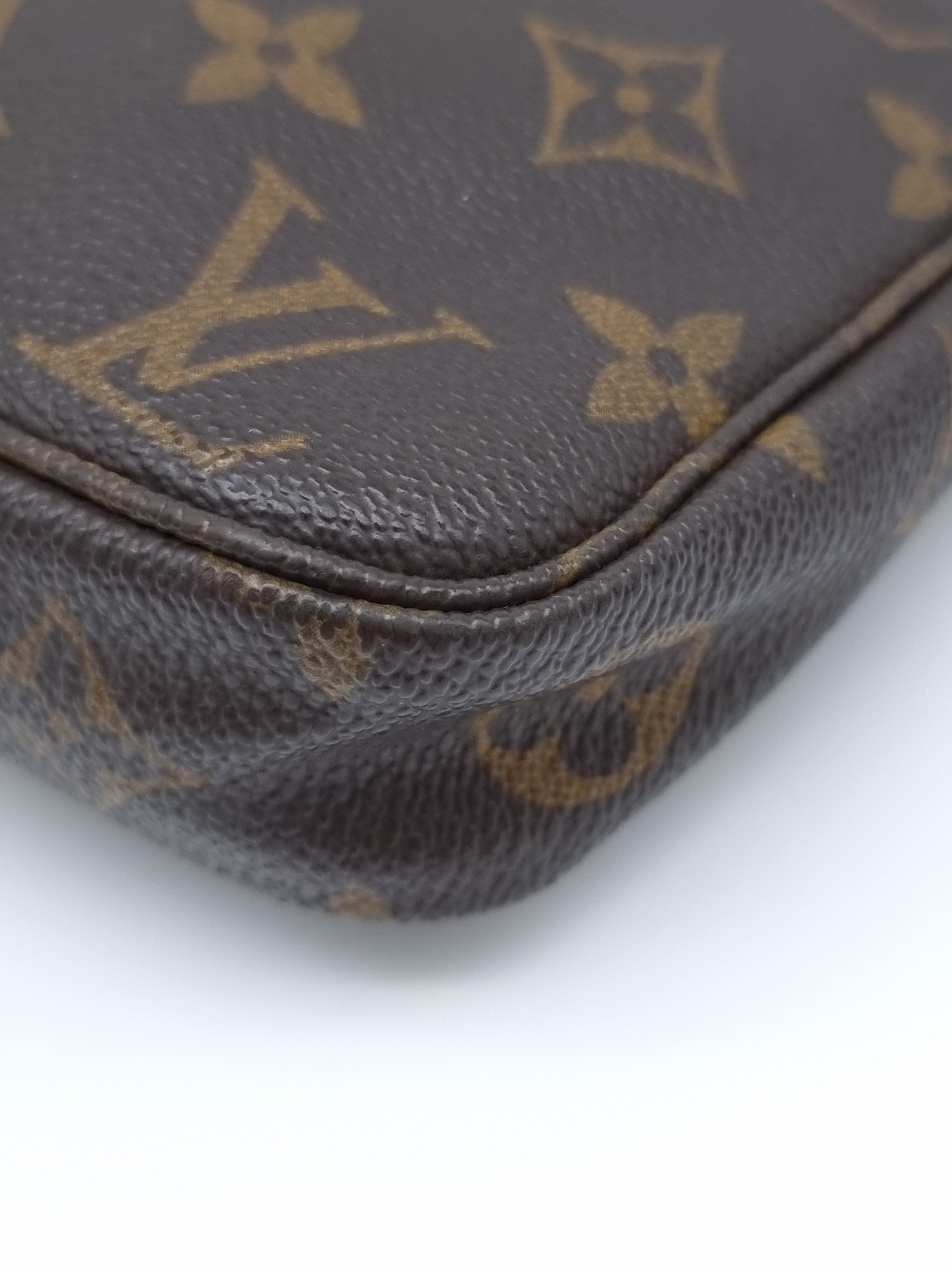 Louis Vuitton Pochette Accessoires