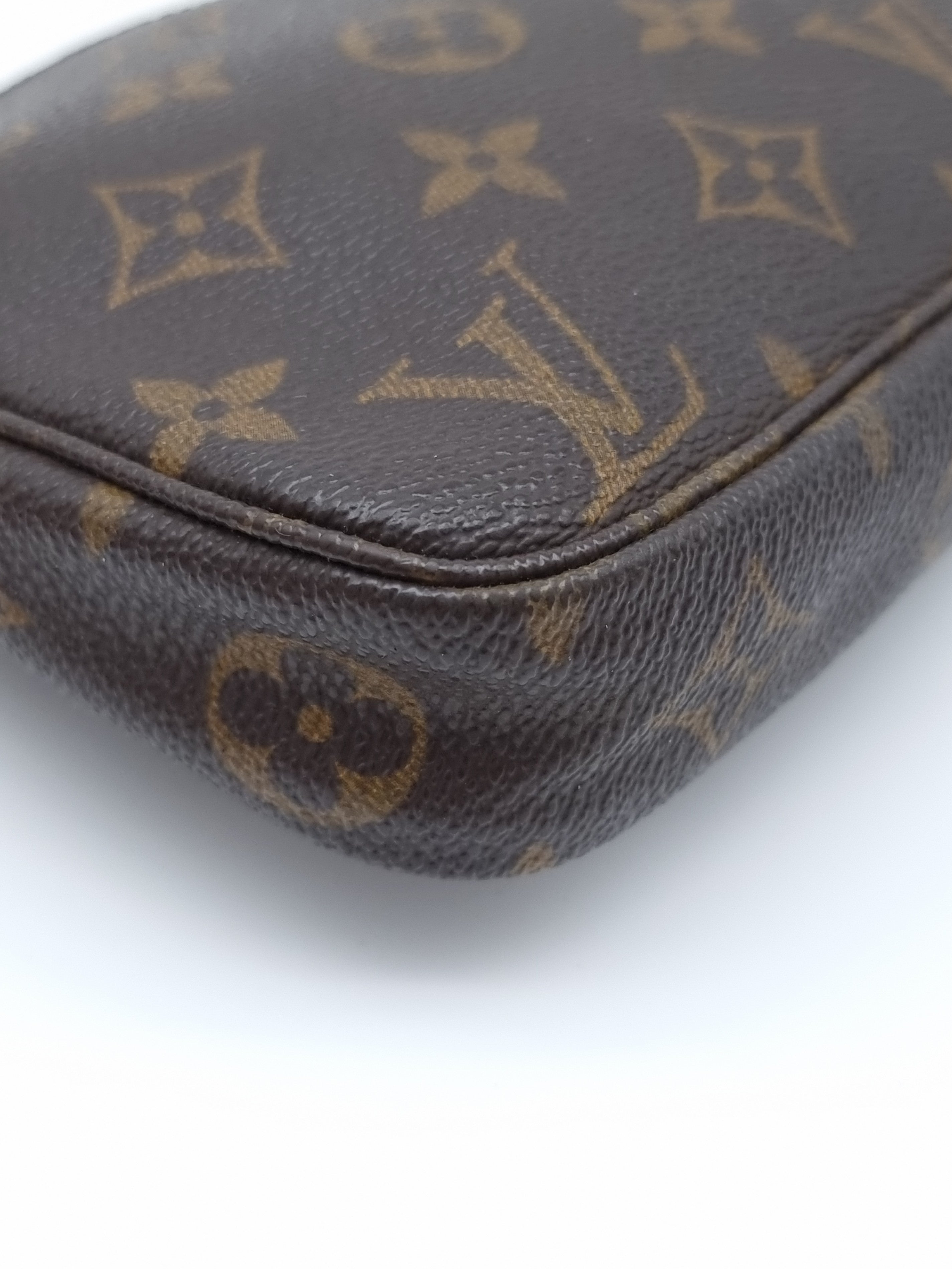 Louis Vuitton Pochette Accessoires