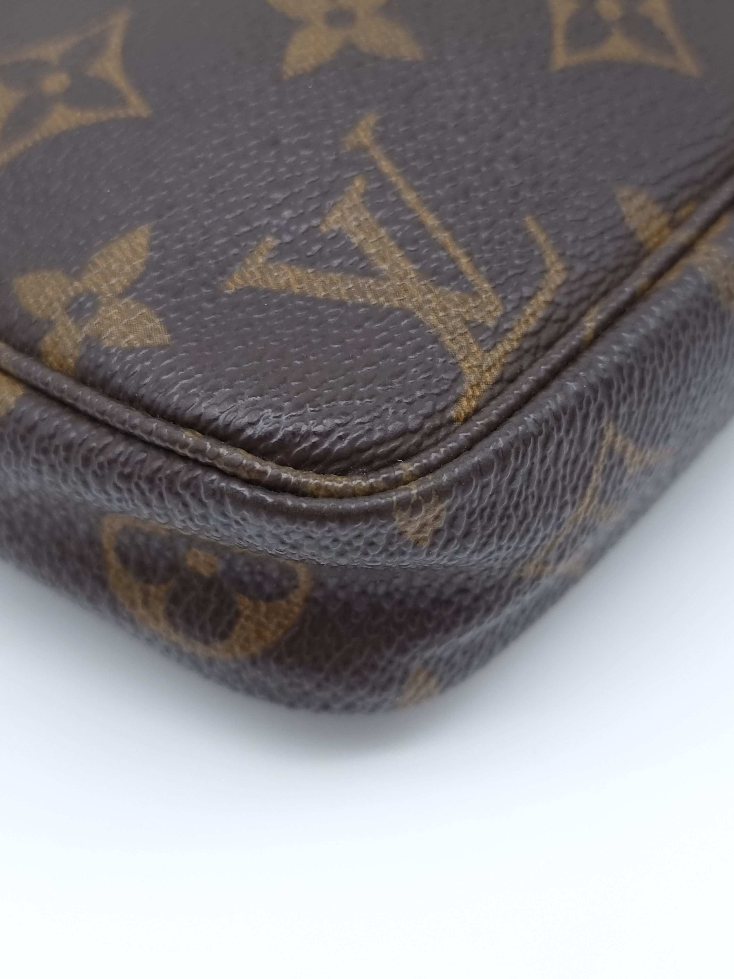 Louis Vuitton Pochette Accessoires