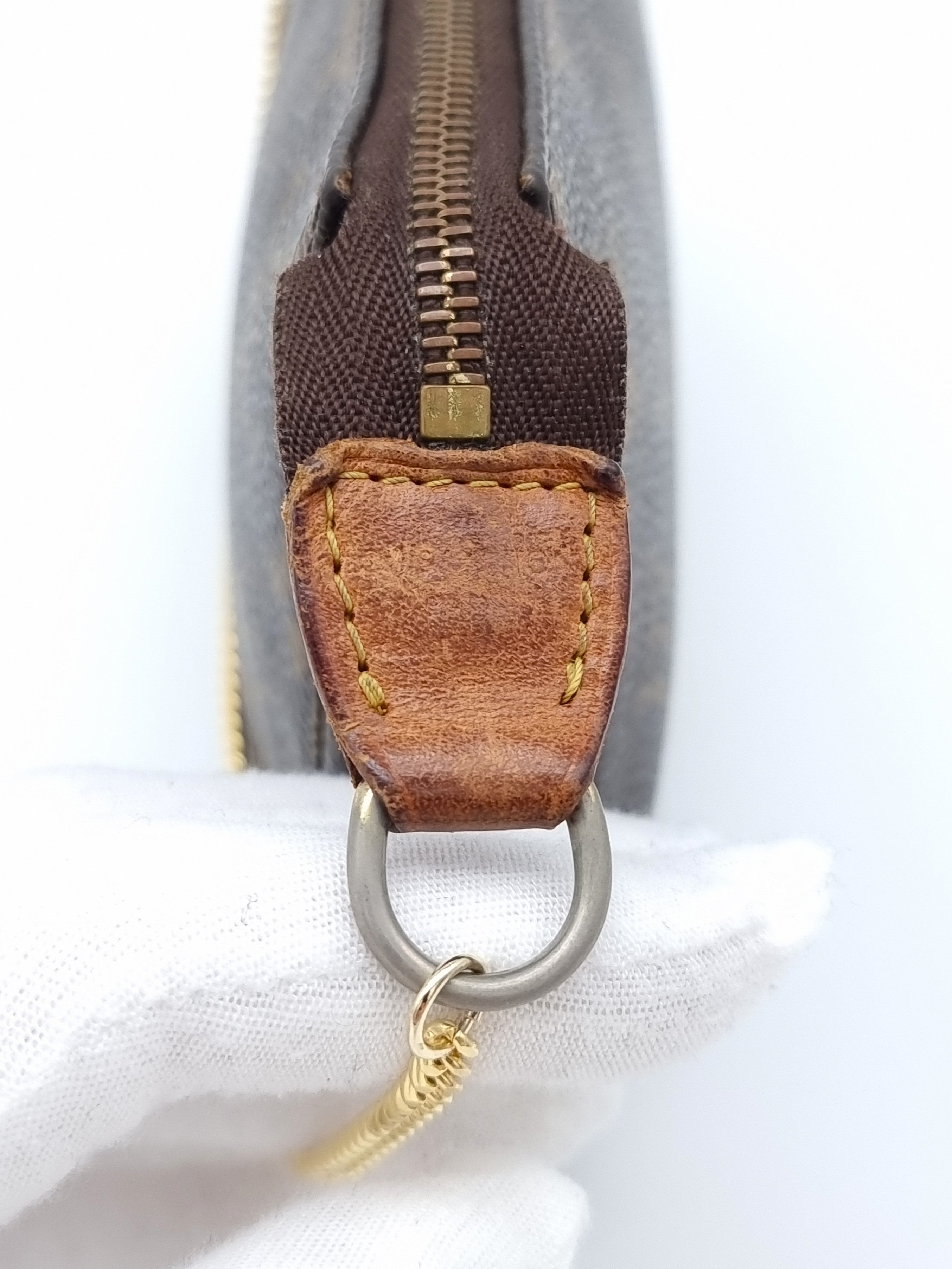 Louis Vuitton Pochette Accessoires